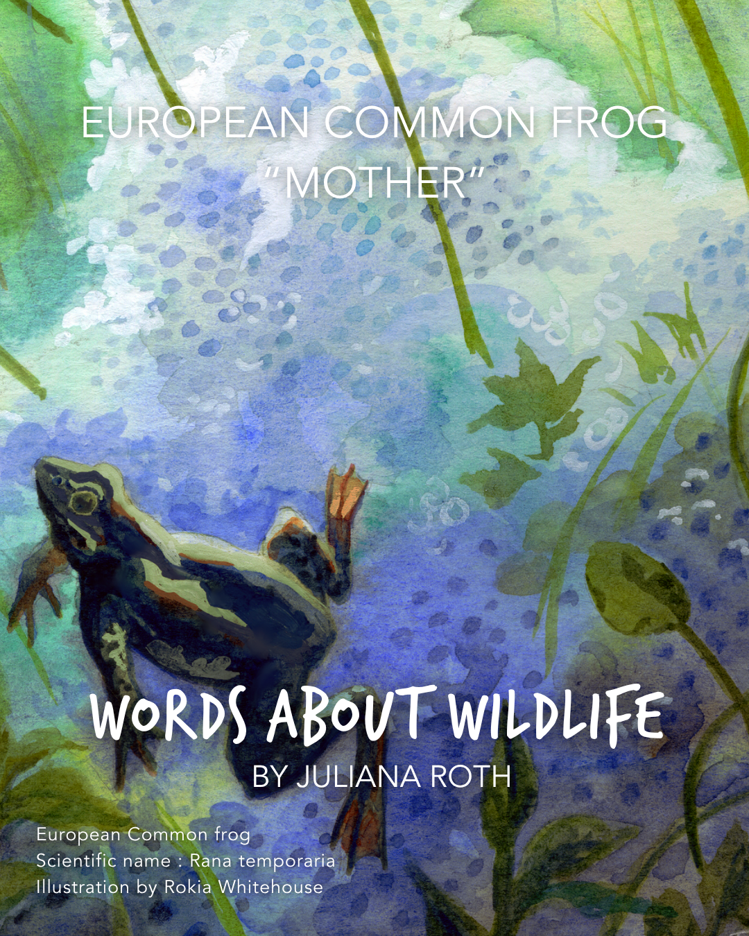 1.JulianRoth_EuropeanCommonFrog.png