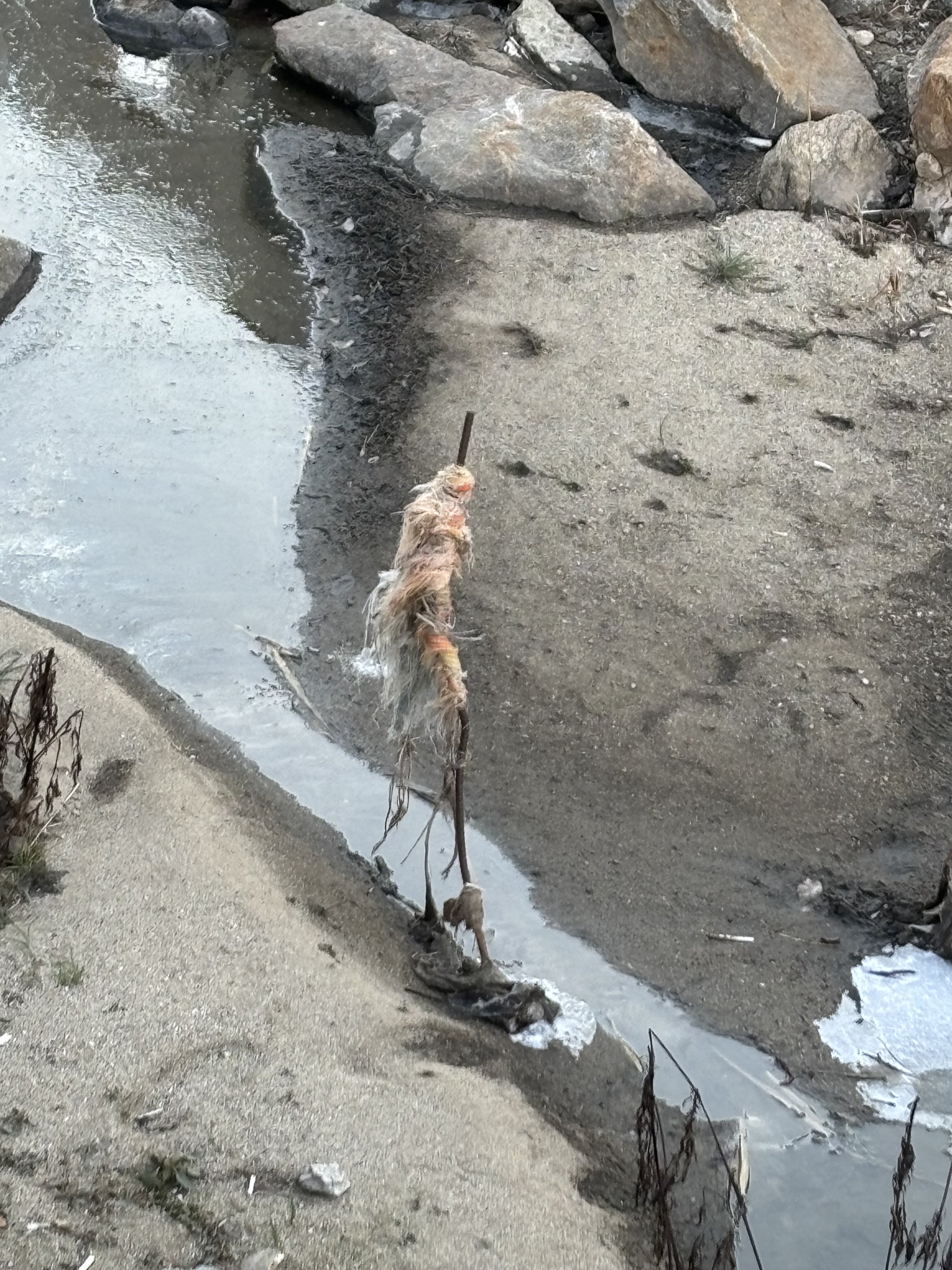 KakaoTalk_Photo_2026-01-29-22-51-40 006.jpeg