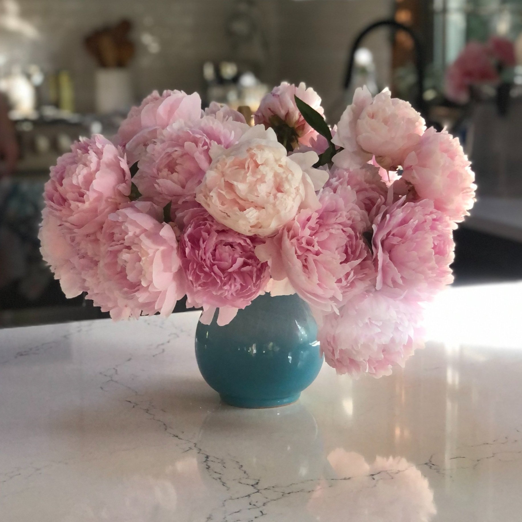 Peonies3.jpg