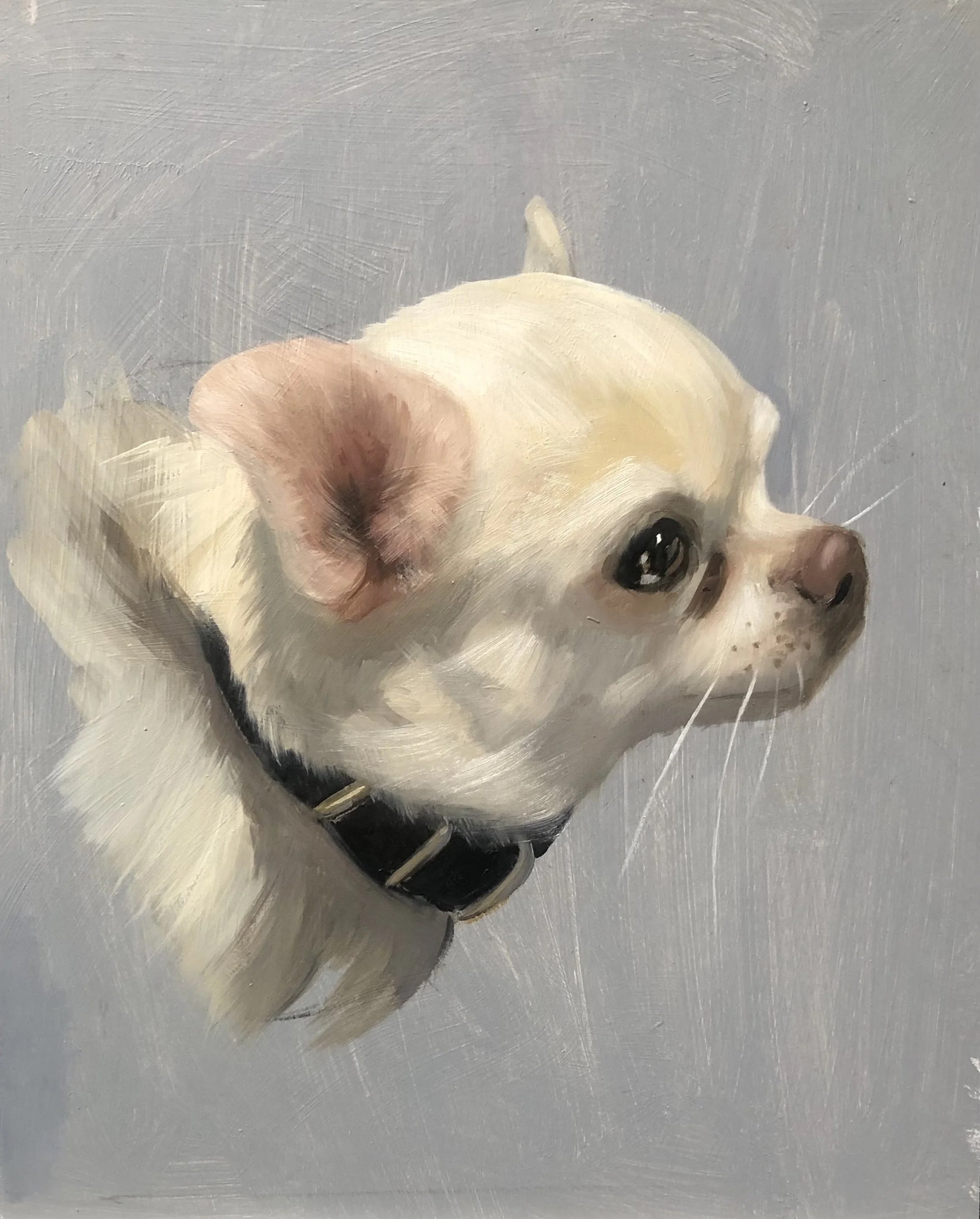 Piinky, Oil on Board, 20.5cm x 25.5cm