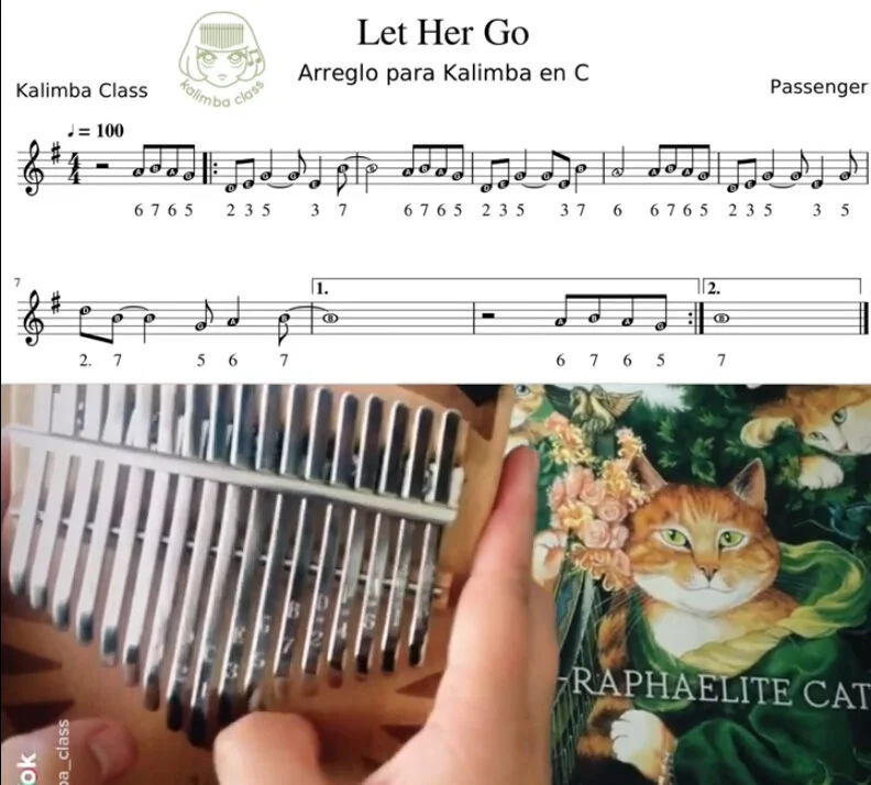 Let Her Go, Passenger