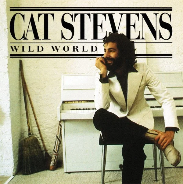 Wild World - Cat Stevens