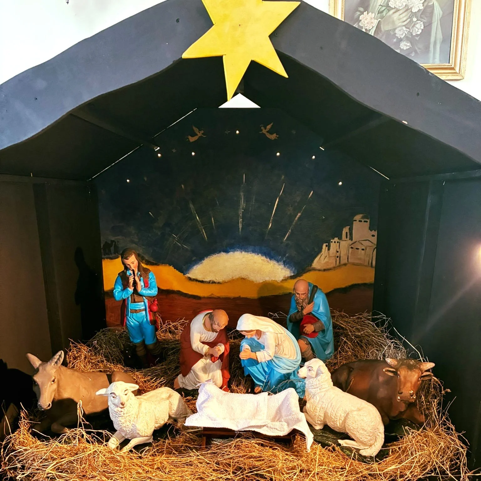 Ash Class have been working on a very special community project as part of their Junior Cycle work for the last few weeks - here's what they had to say about what they have been up to:
As part of our Junior Cycle curriculum, Ash Class have taken on a