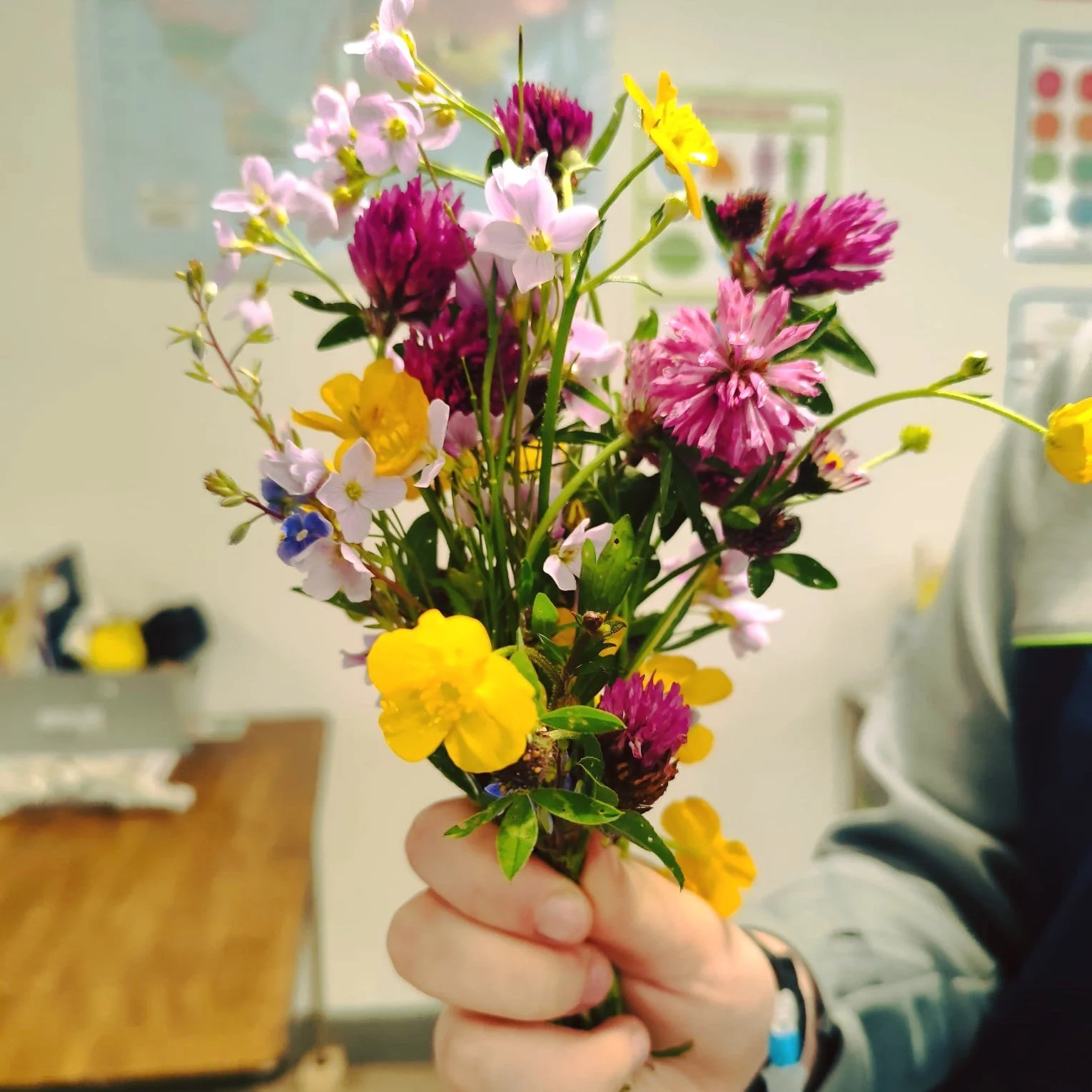 Blackthorn Class have been out and about exploring the colours of nature as part of one of their Senior Cycle electives - Looking after my environment.
Despite the unseasonably bad weather over the last few weeks, they spent time exploring flora and 