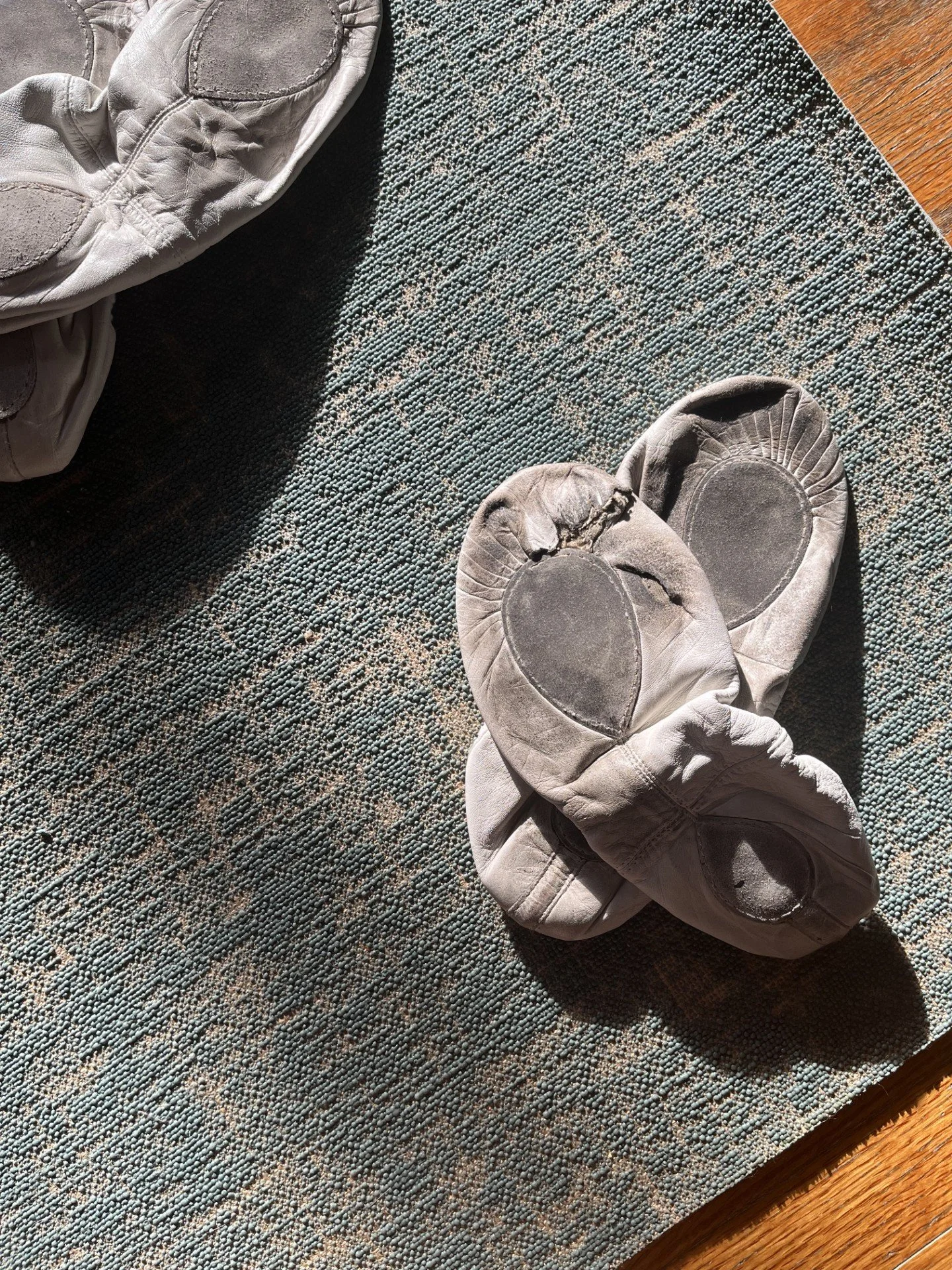 old ballet shoes for back to class 12-2024.jpg