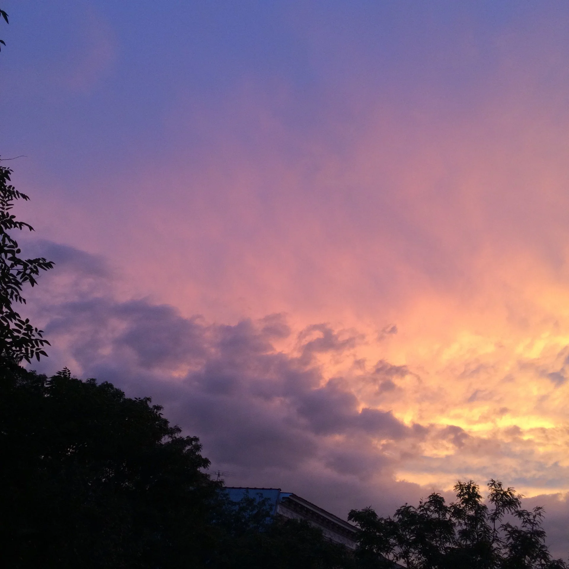 Glorious Sunset in Park Slope 4-2026.jpg