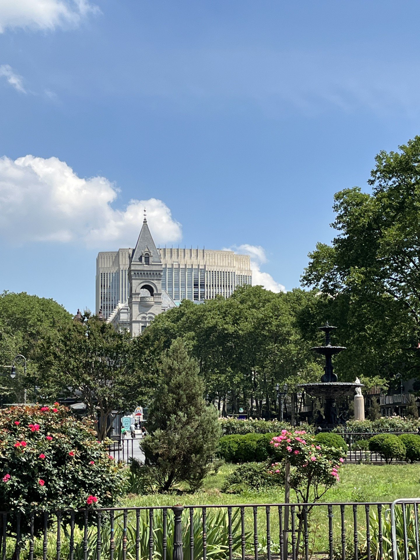 Borough Hall rose garden 06-2026.jpg