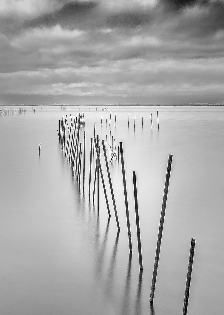 Black and white photo of a calm body of water with numerous leaning and standing wooden sticks or poles extending into the distance under a cloudy sky.