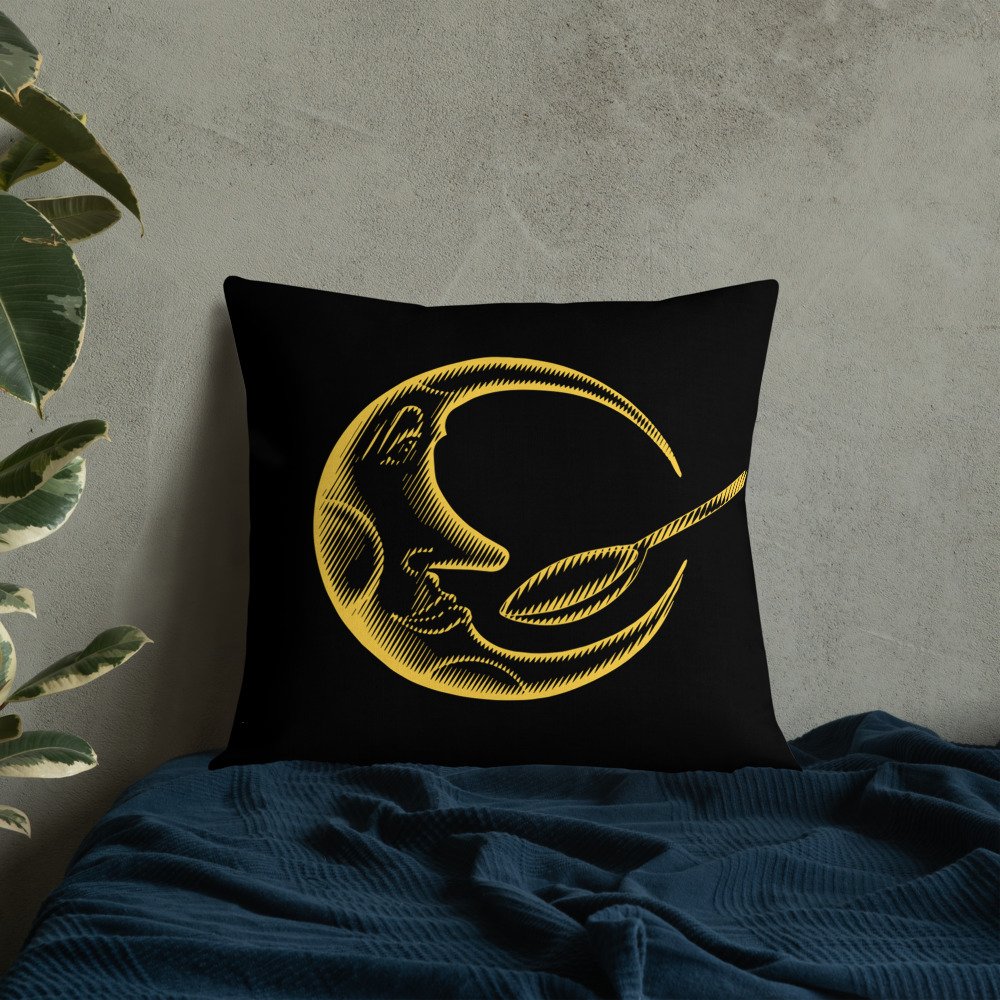all-over-print-premium-pillow-22x22-front-lifestyle-8-61993e84d93af.jpg