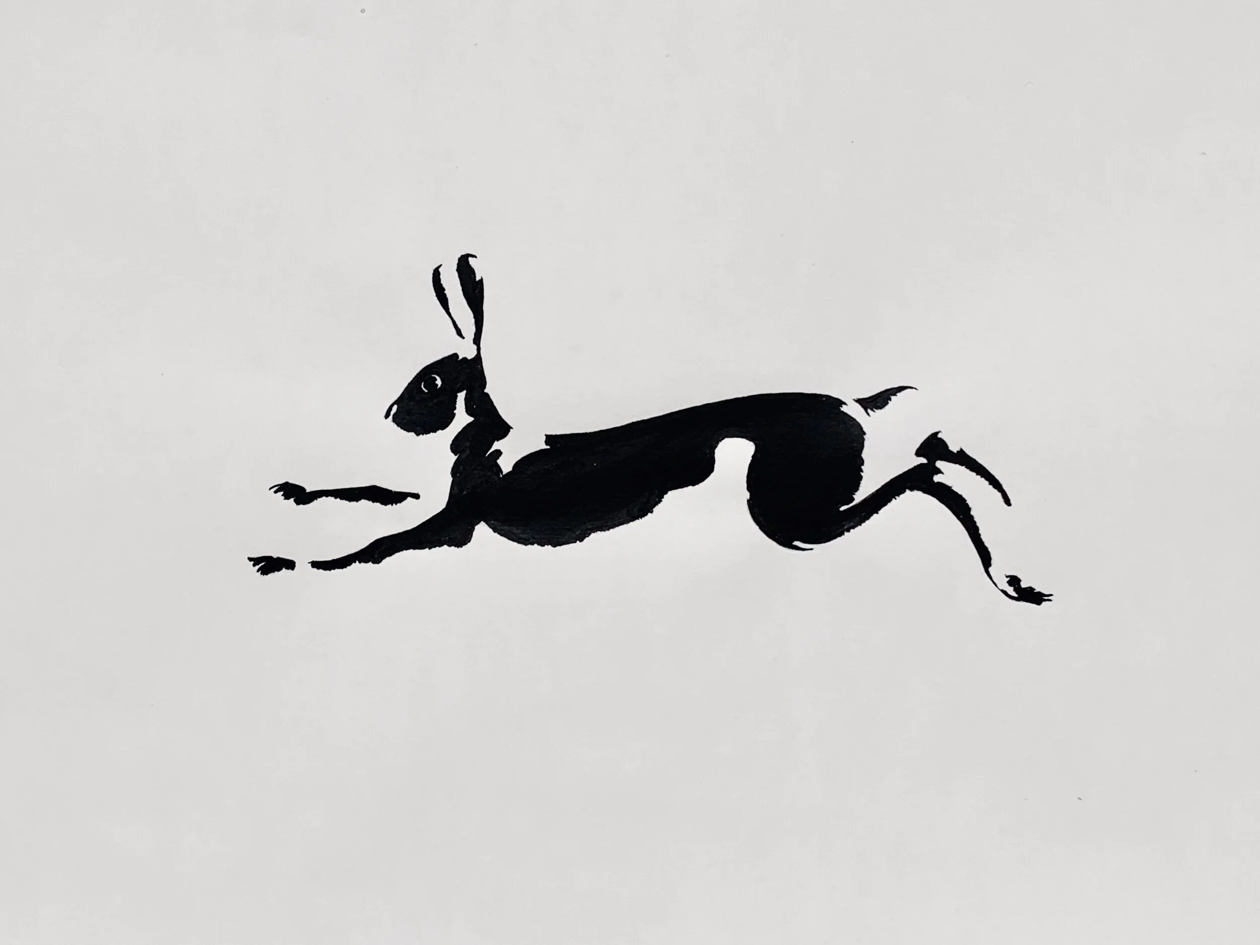 'Mountain hare' SOLD.
Available as a print 21Ox277mm £75.