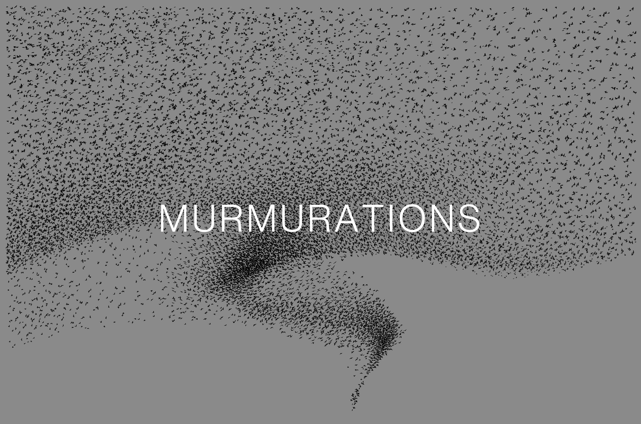 Murmurations.png