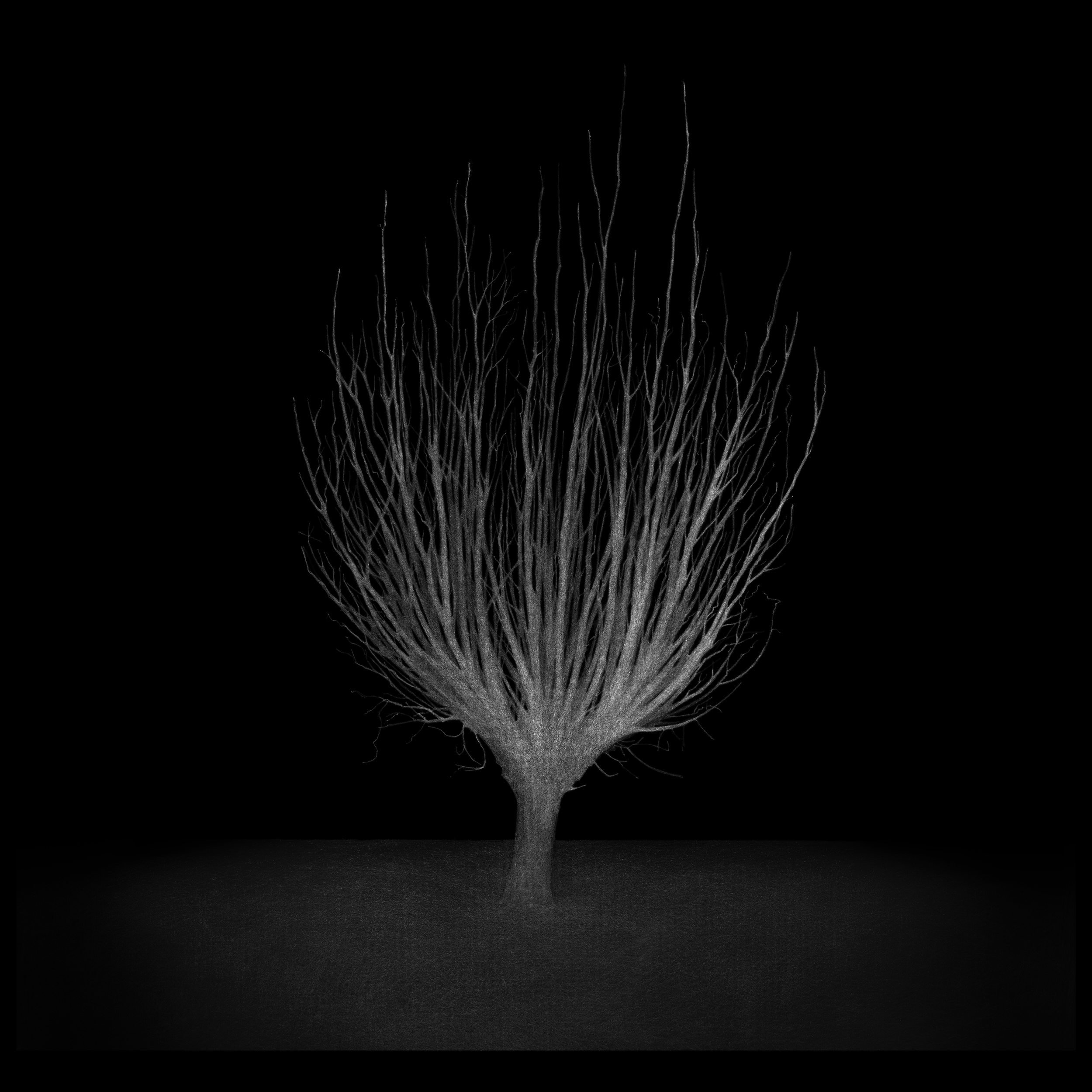 NOCTURNES