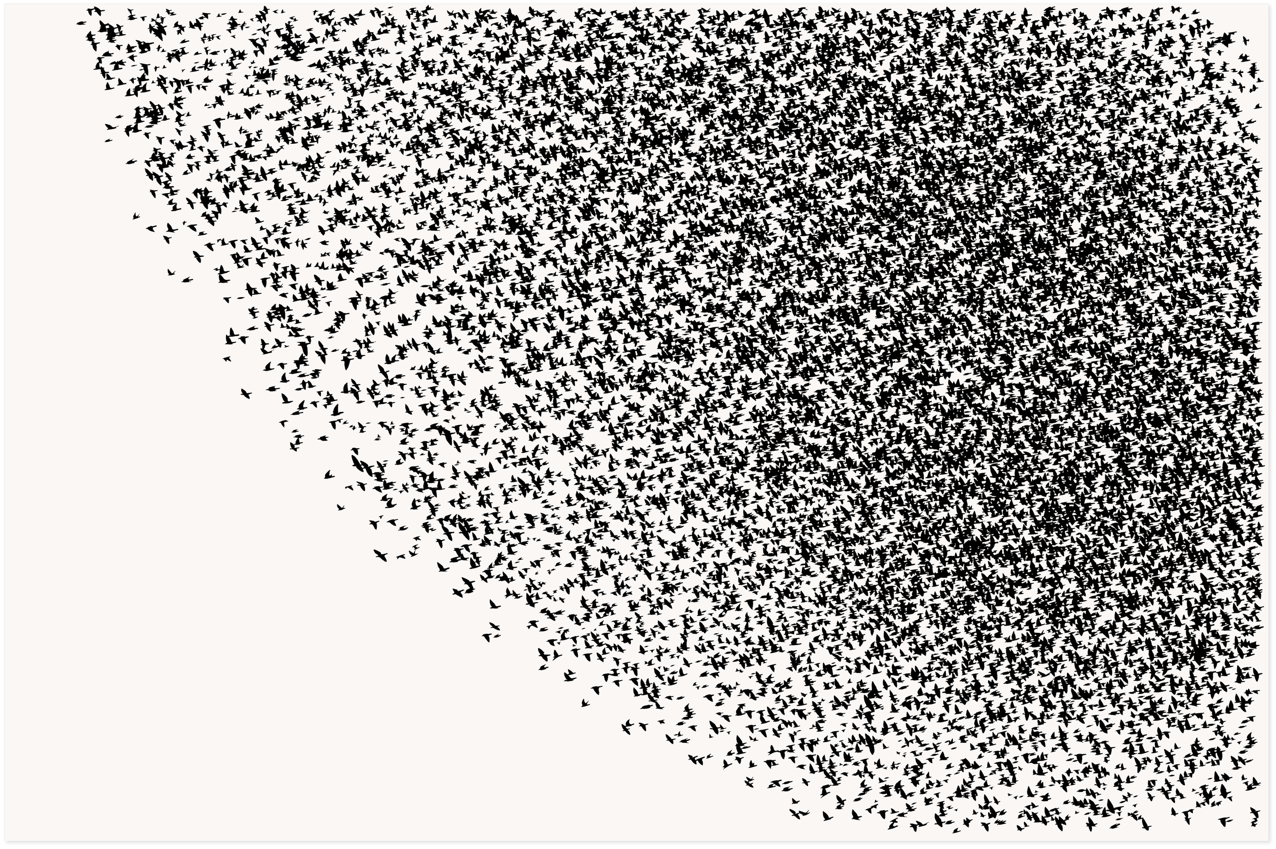 'A feathered dark' 76.5 x 57cm Original £4,000 (framed). Available as prints in three sizes: 145 x 95cm, £750 (unframed), and 80 x 60cm, £250 (unframed); 47 x 31cm £100 (unframed).