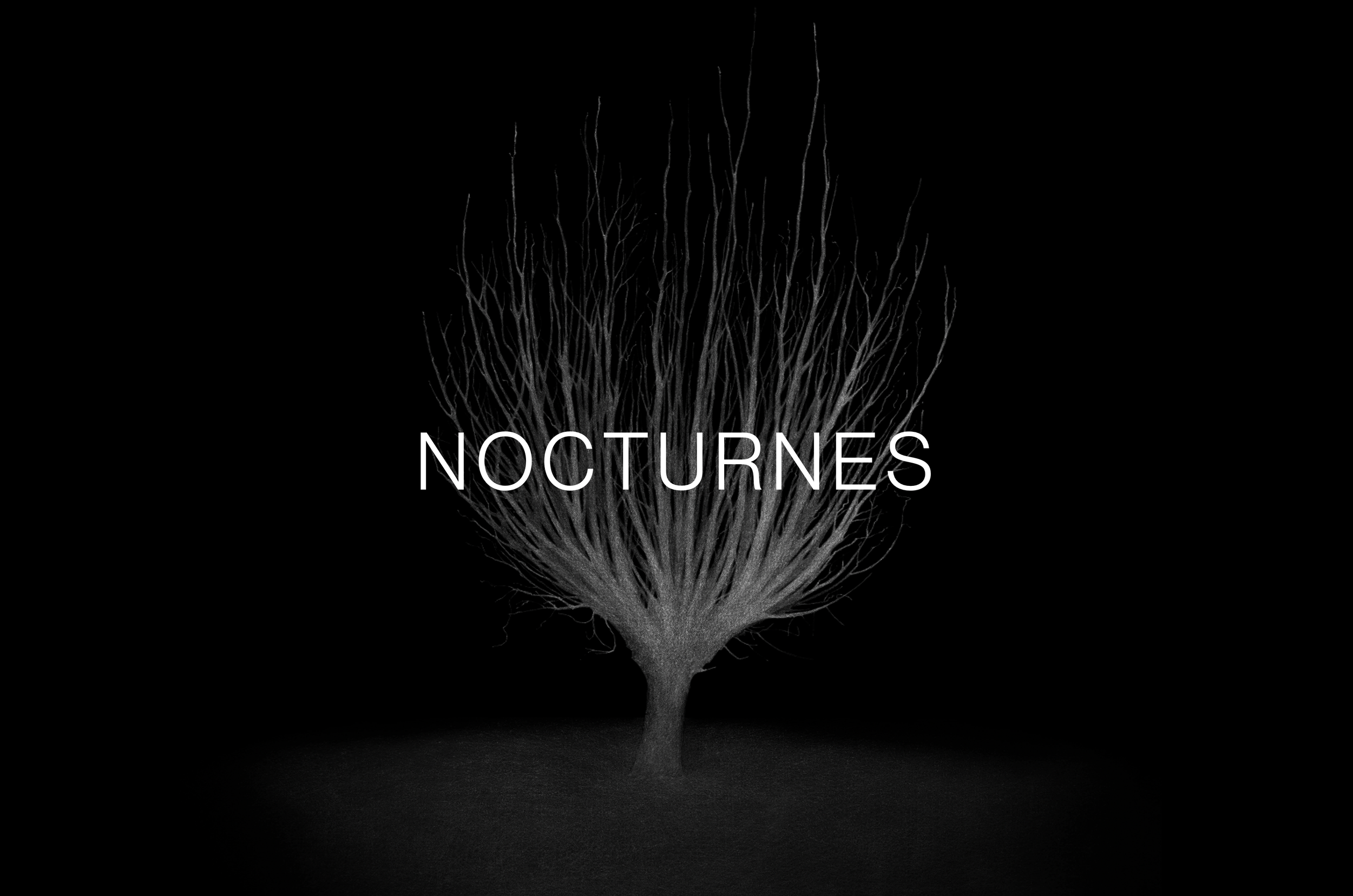 Nocturnes.png