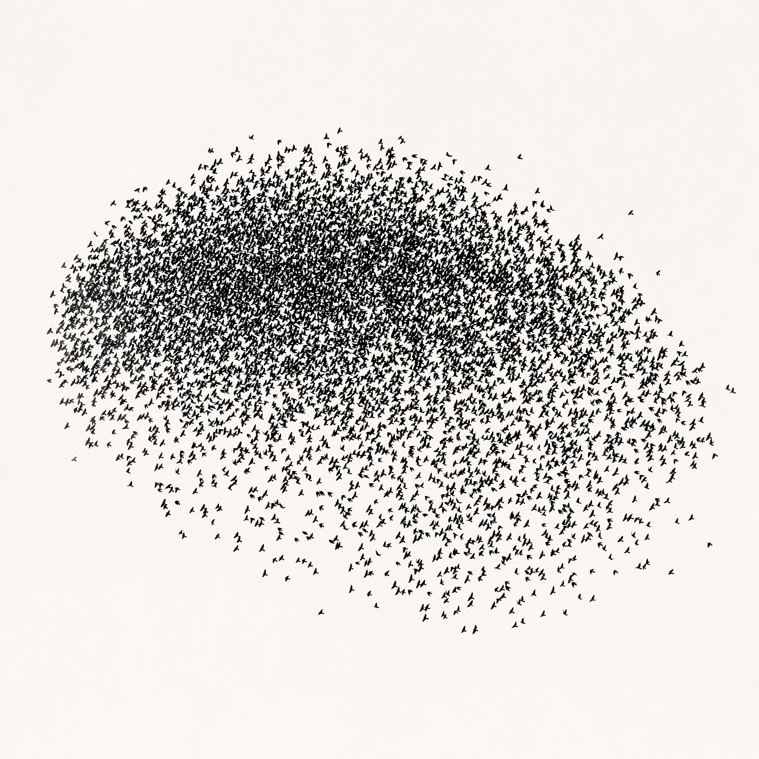 MURMURATIONS