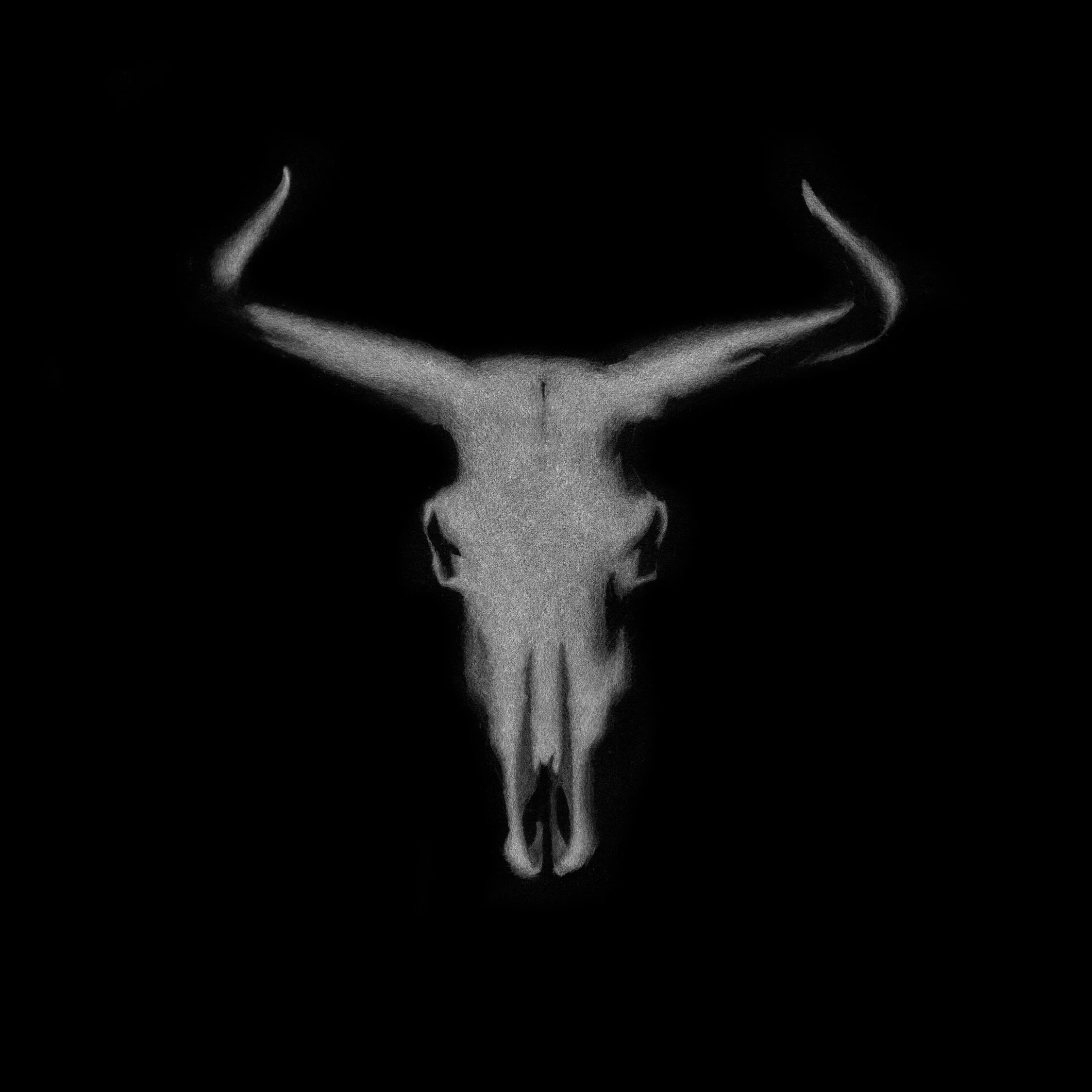 'Auroch skull' 22 x 23.5cm Giclée print | Open edition. £150 (unframed)
