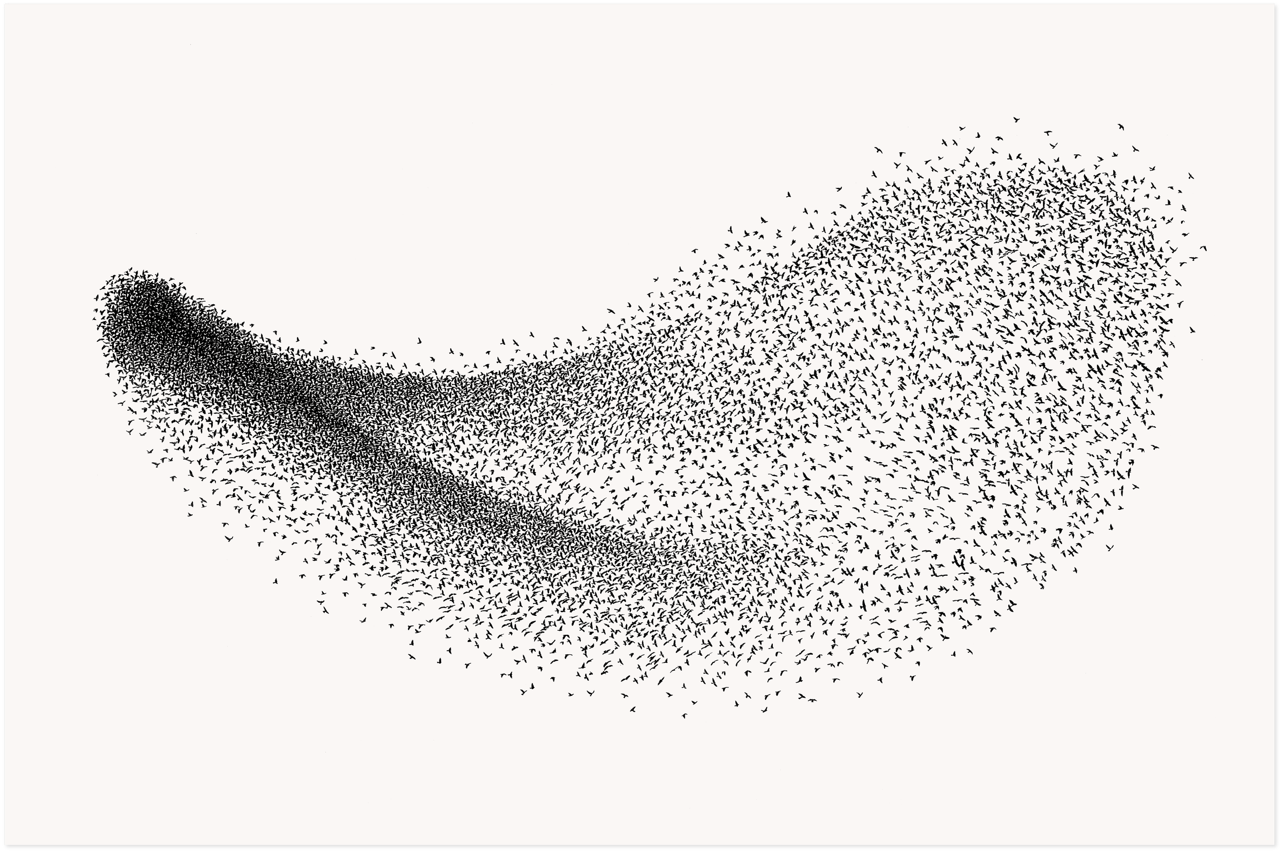 'The language of birds' Original SOLD. 
Available as prints in three sizes: 145 x 95cm, £750 (unframed), and 80 x 60cm, £250 (unframed); 47 x 31cm, £100 (unframed).