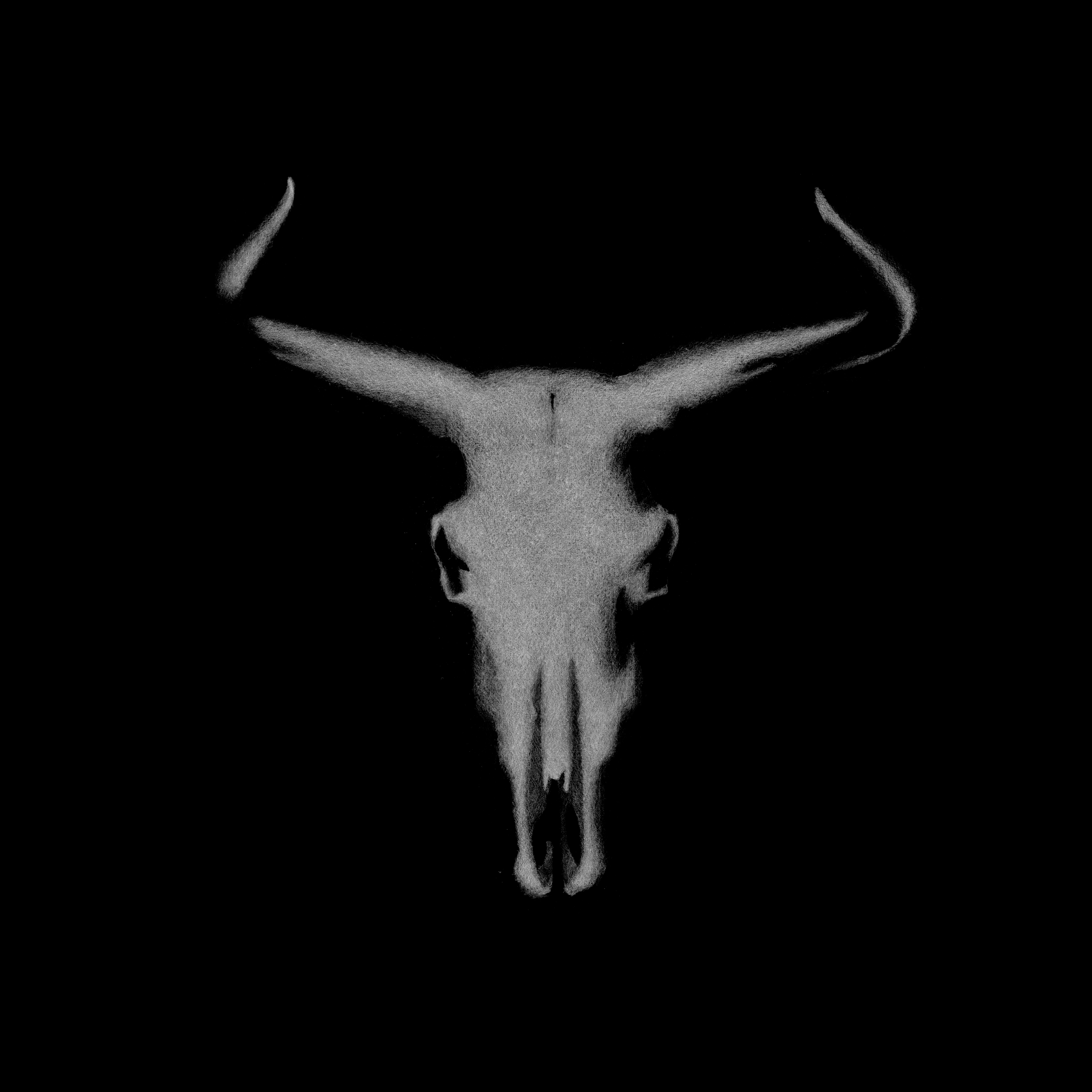 AUROCHS & AUKS