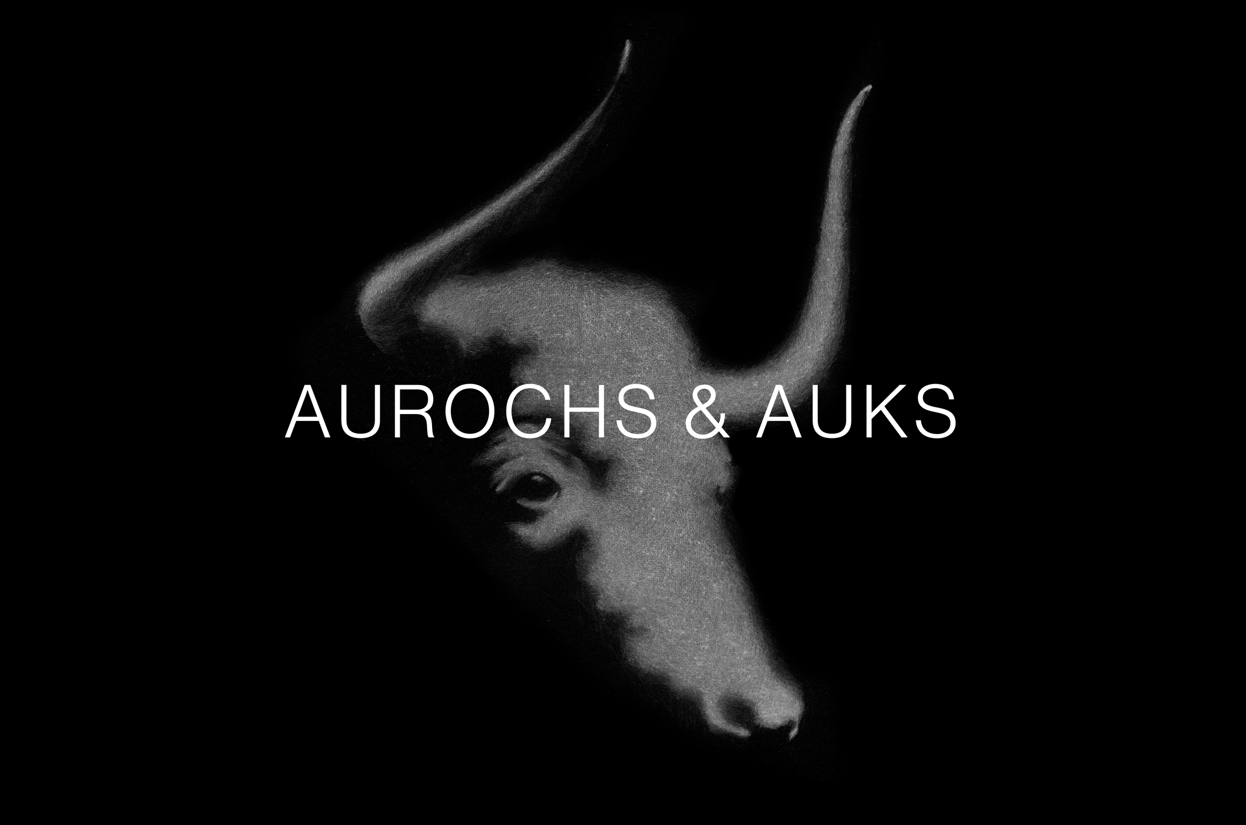 Aurochs & Auks.png