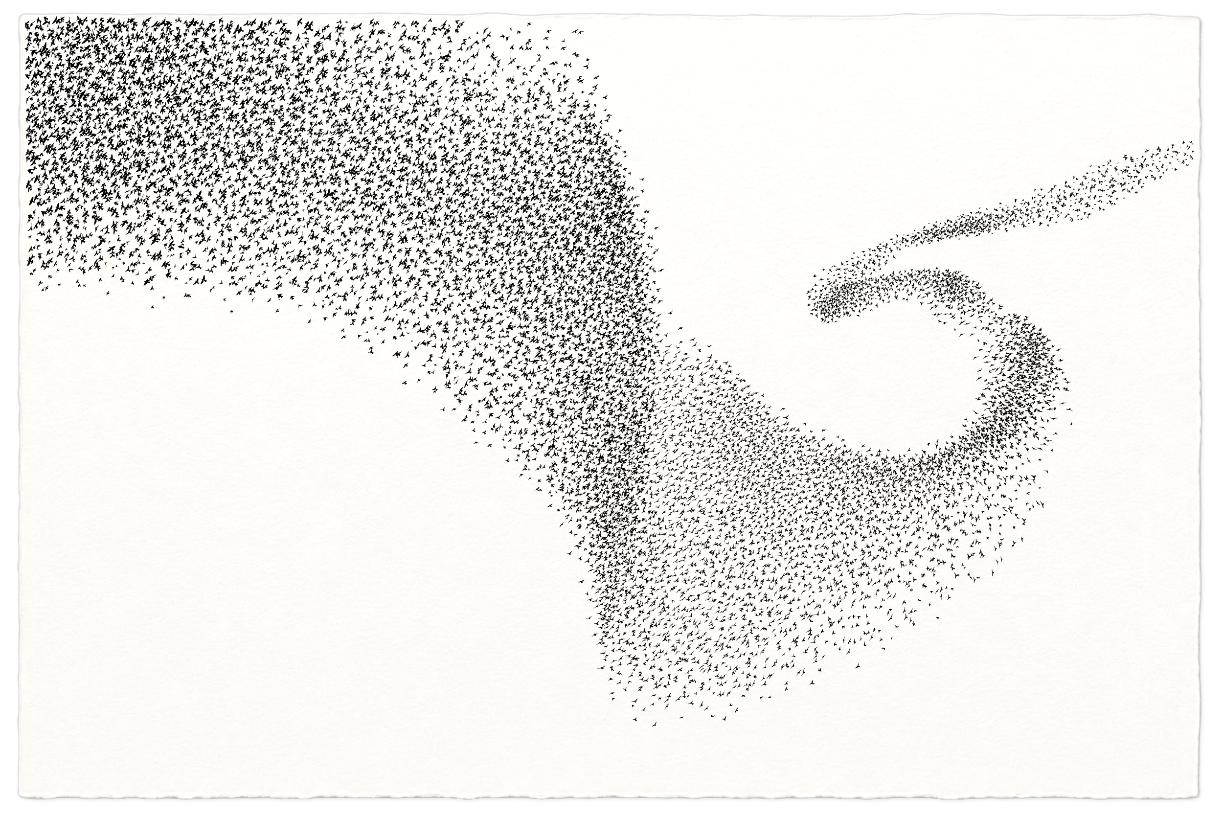 a murmuration of starlings swooping through the sky as one, creating extraordinary shapes