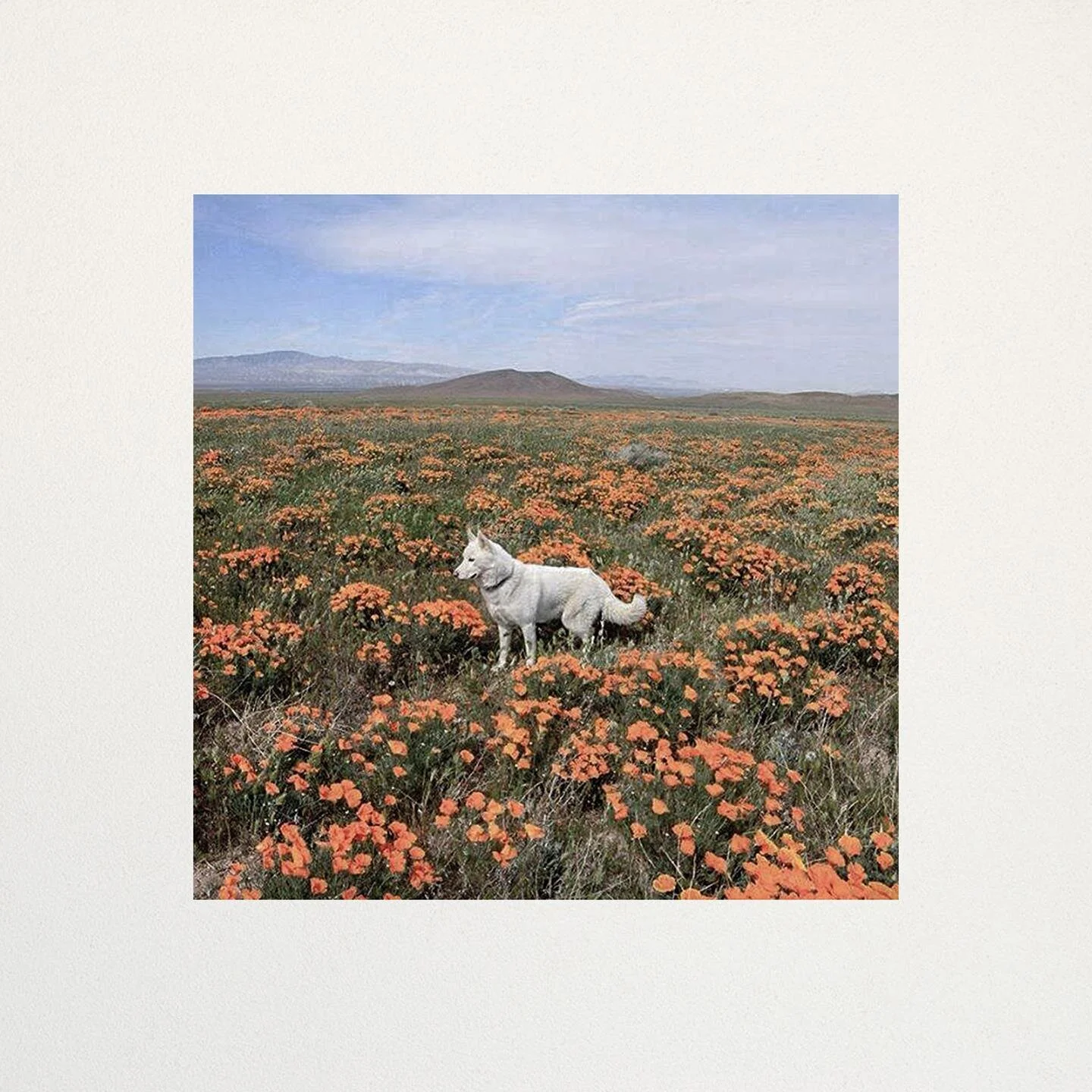 Maldito releases his brand new LP with "Kingdom of Coldness"