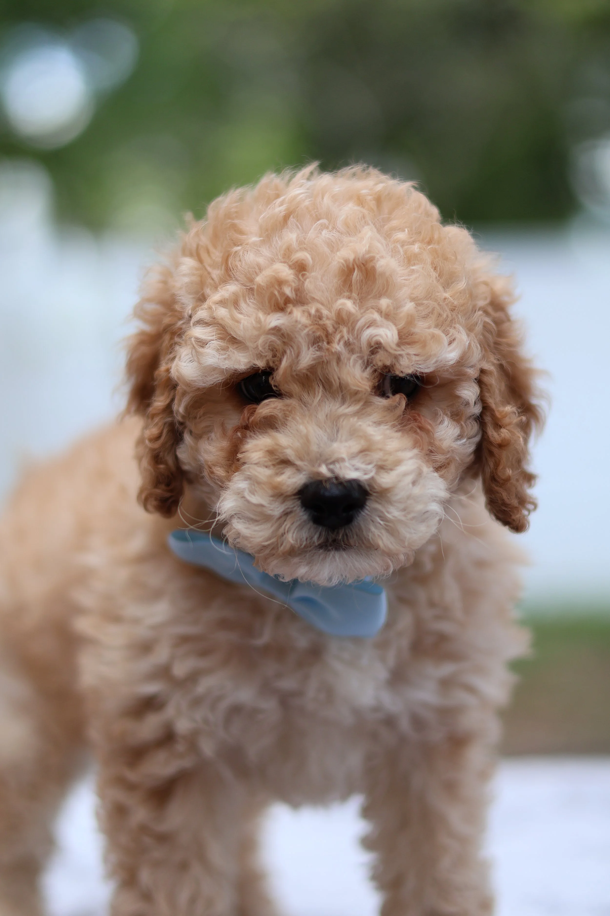 IMG_4606.jpeg (Copy) (Copy) (Copy)