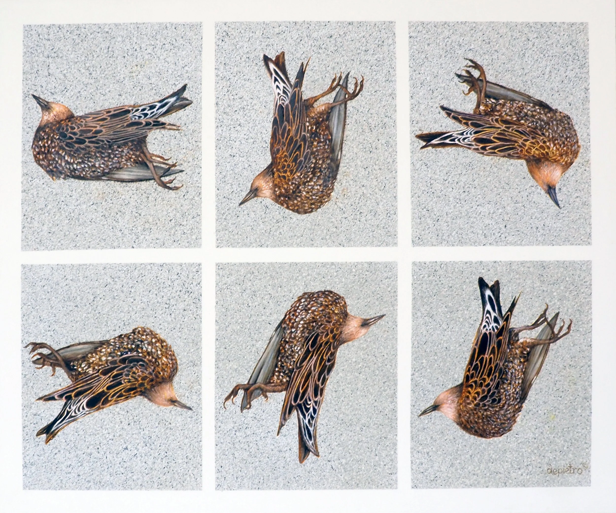 At Rest: Six Views of Death