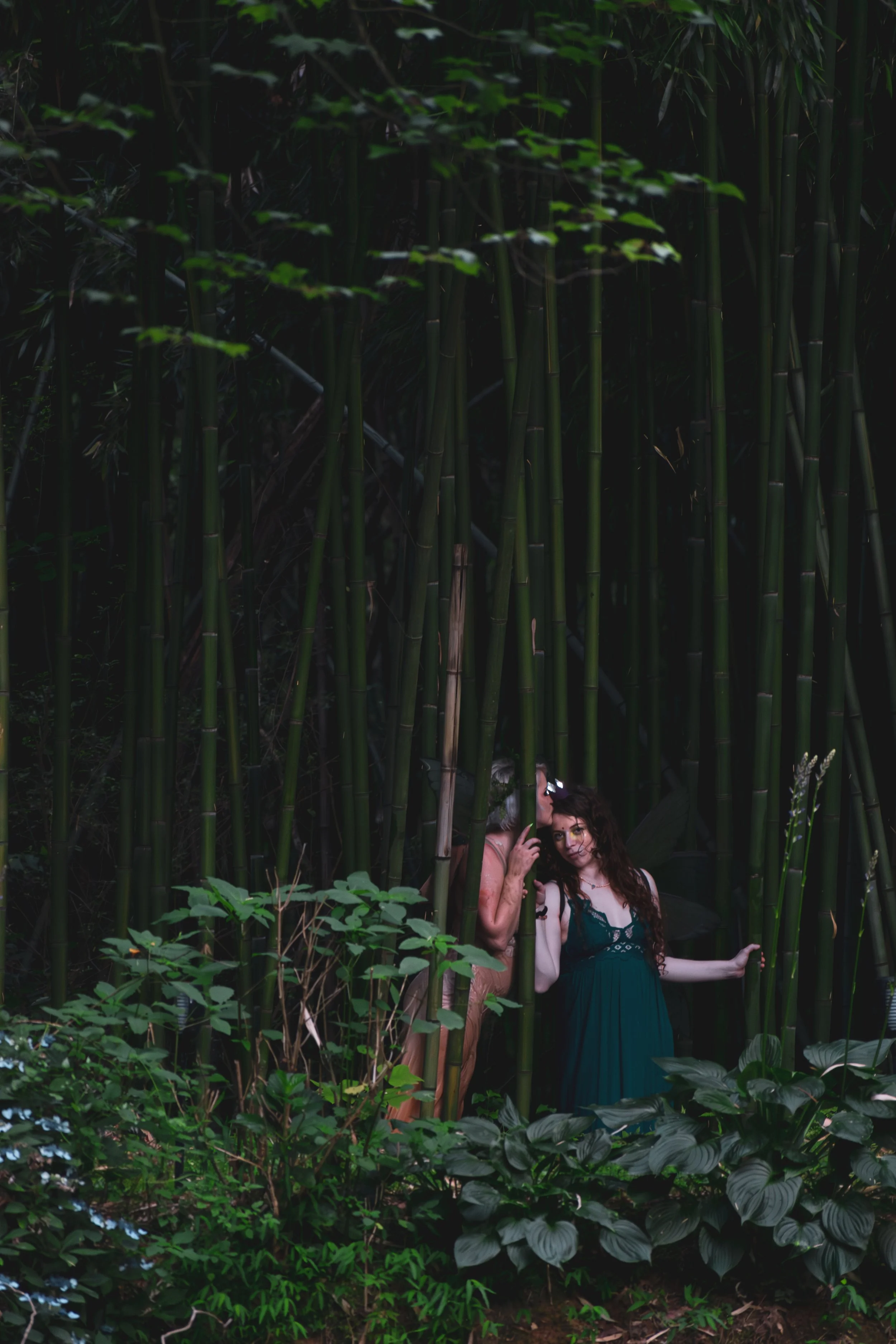 untitled--4 copy.jpg