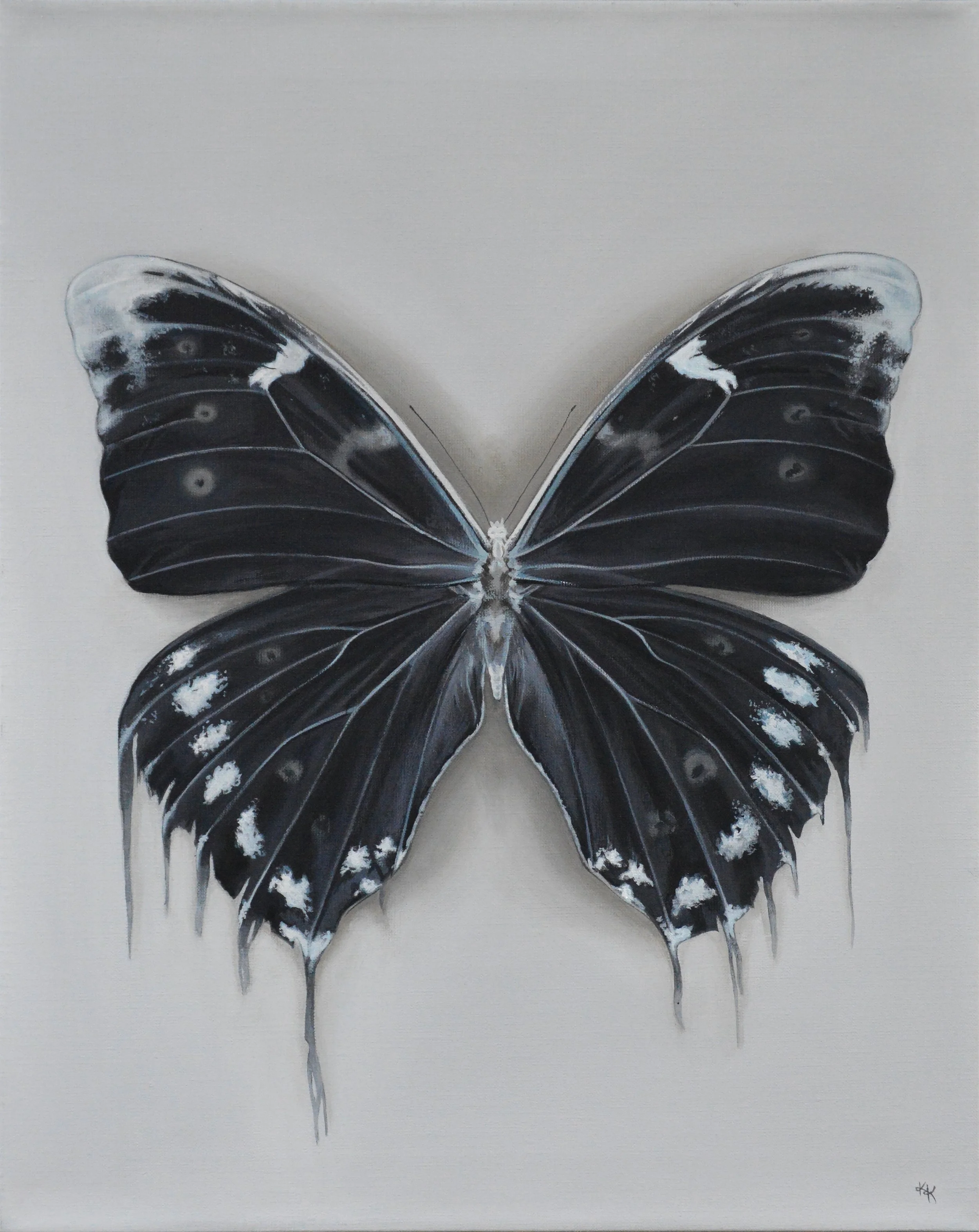 Black •20x16• Available at Robert Lange Studios