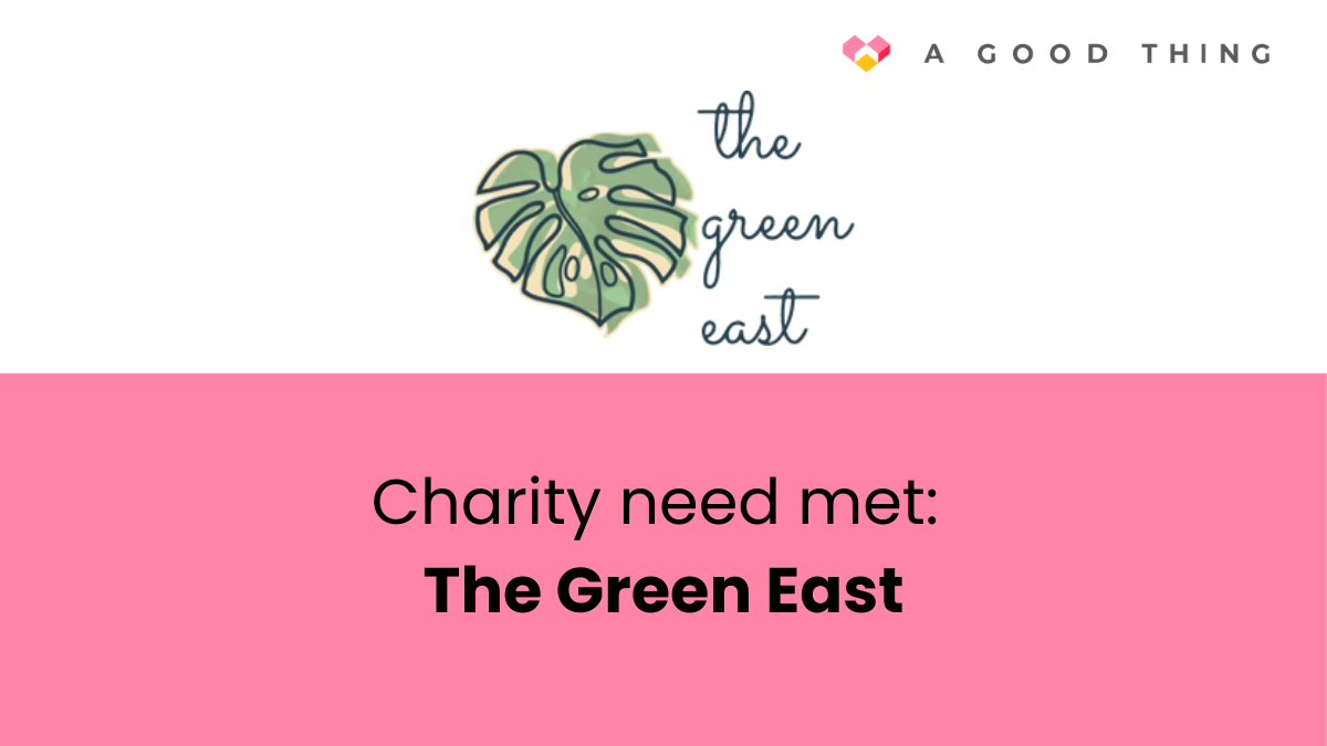 Plenty of pampas: how one charity need resulted in more green in spaces across Belfast