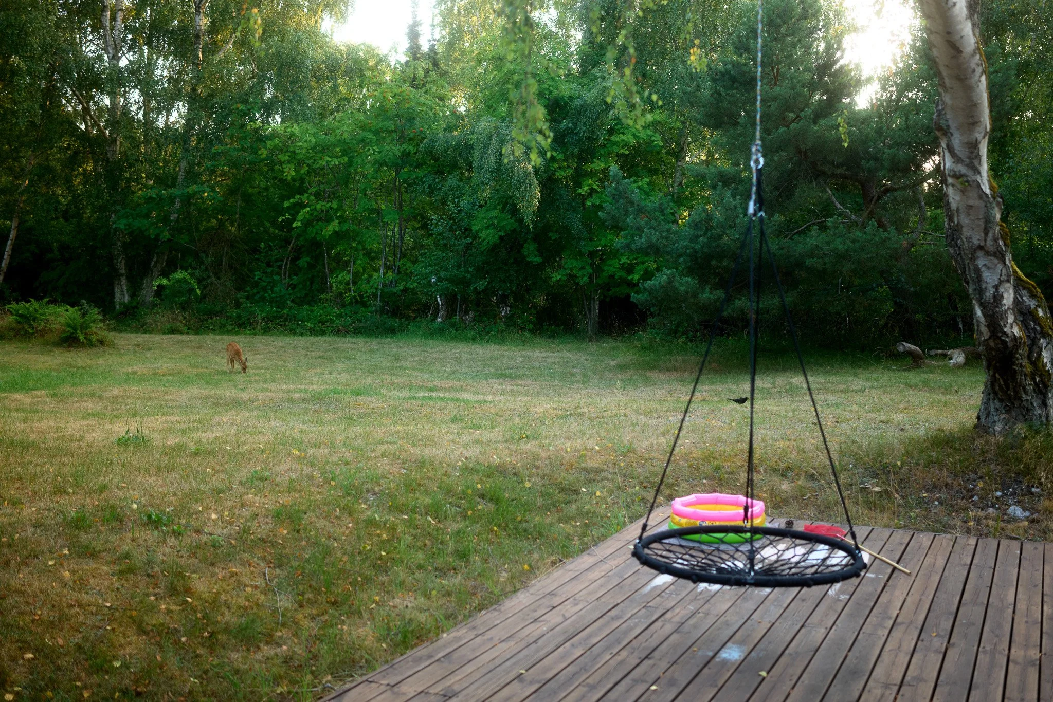 Sommerhus2026 112.jpg