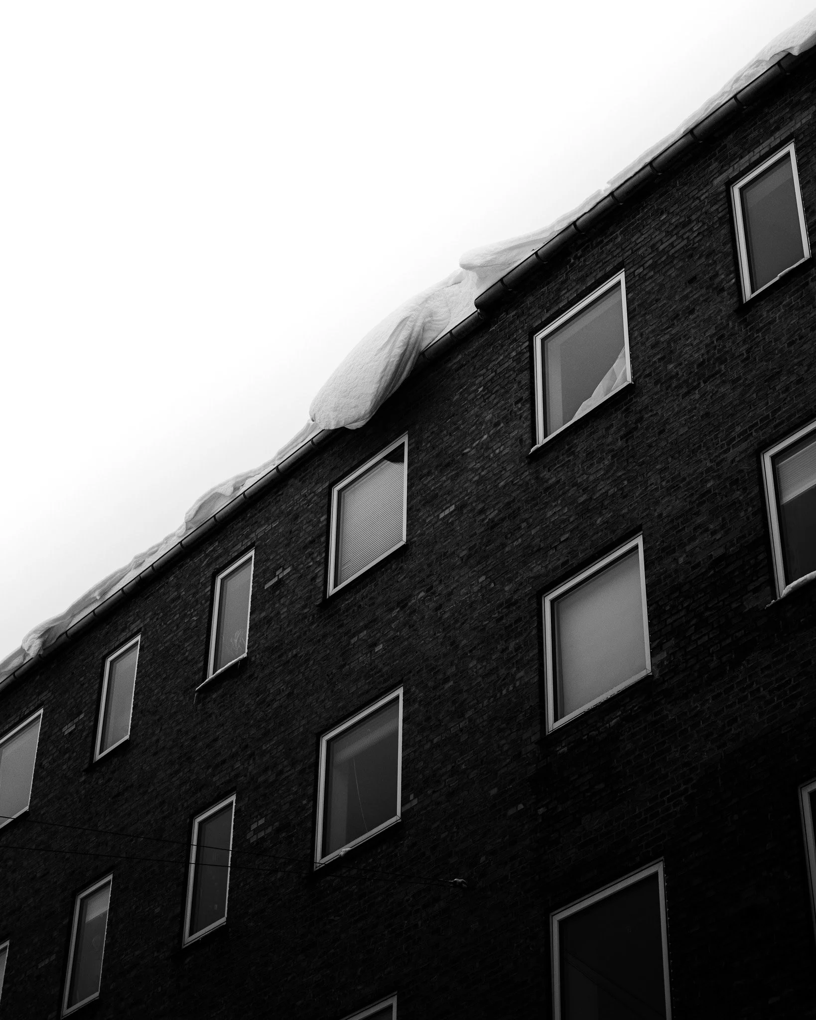 L1050804.jpg