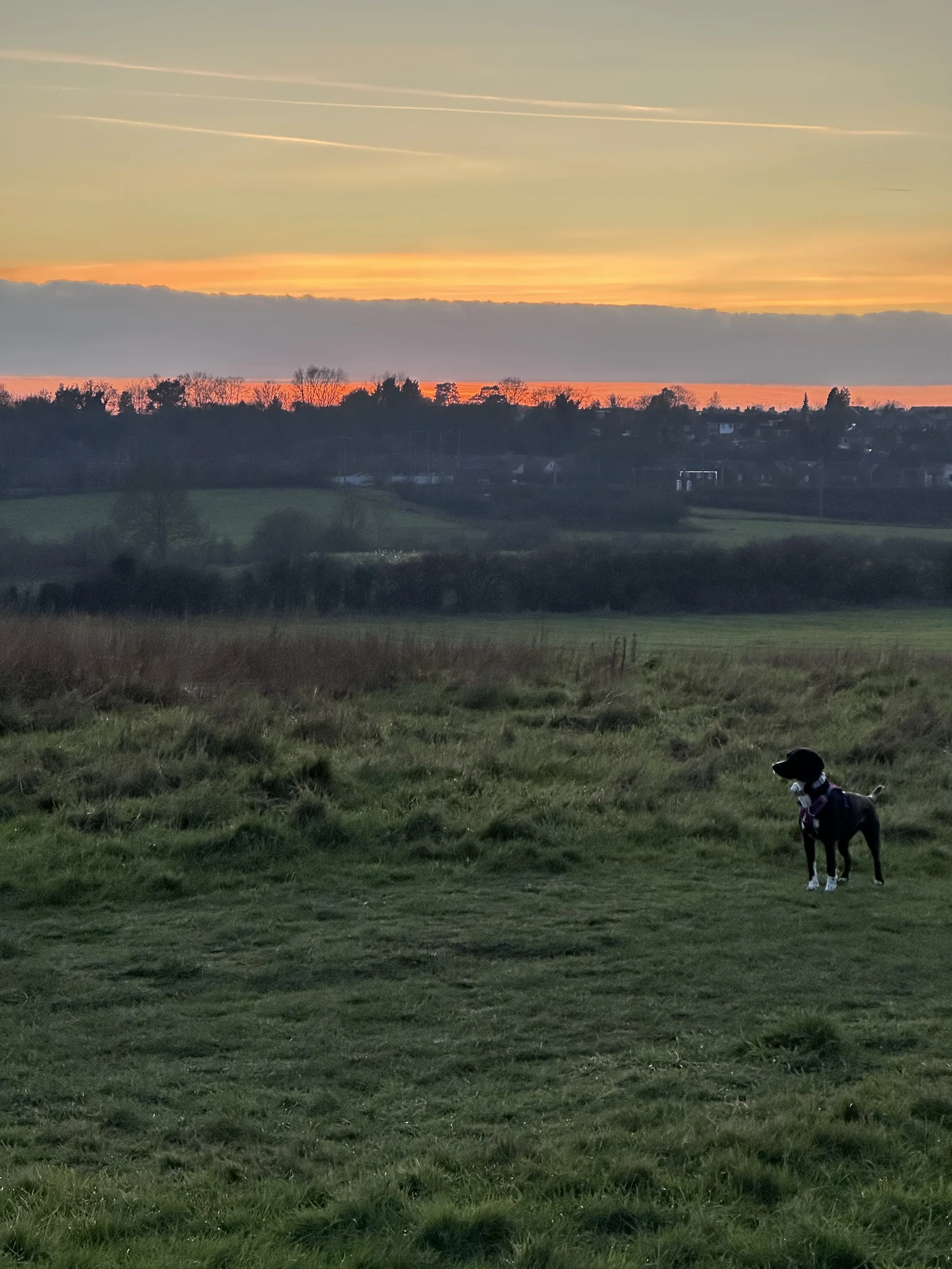 Thoughts on my 2nd Saturn Return