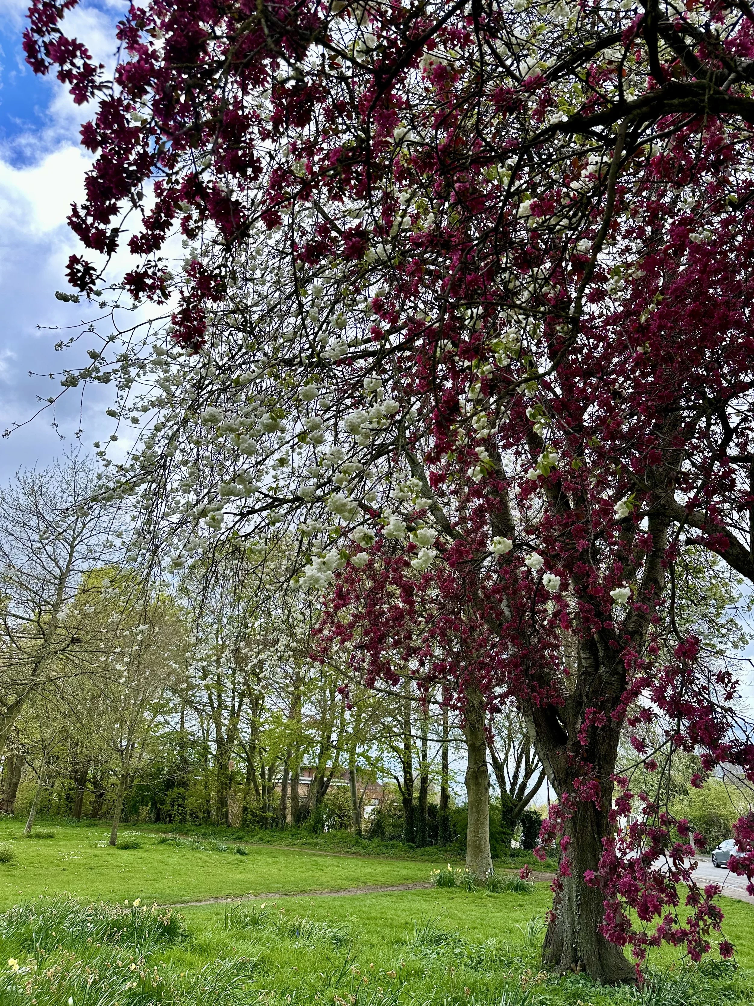 Understanding the Lots of Fortune &amp; Spirit