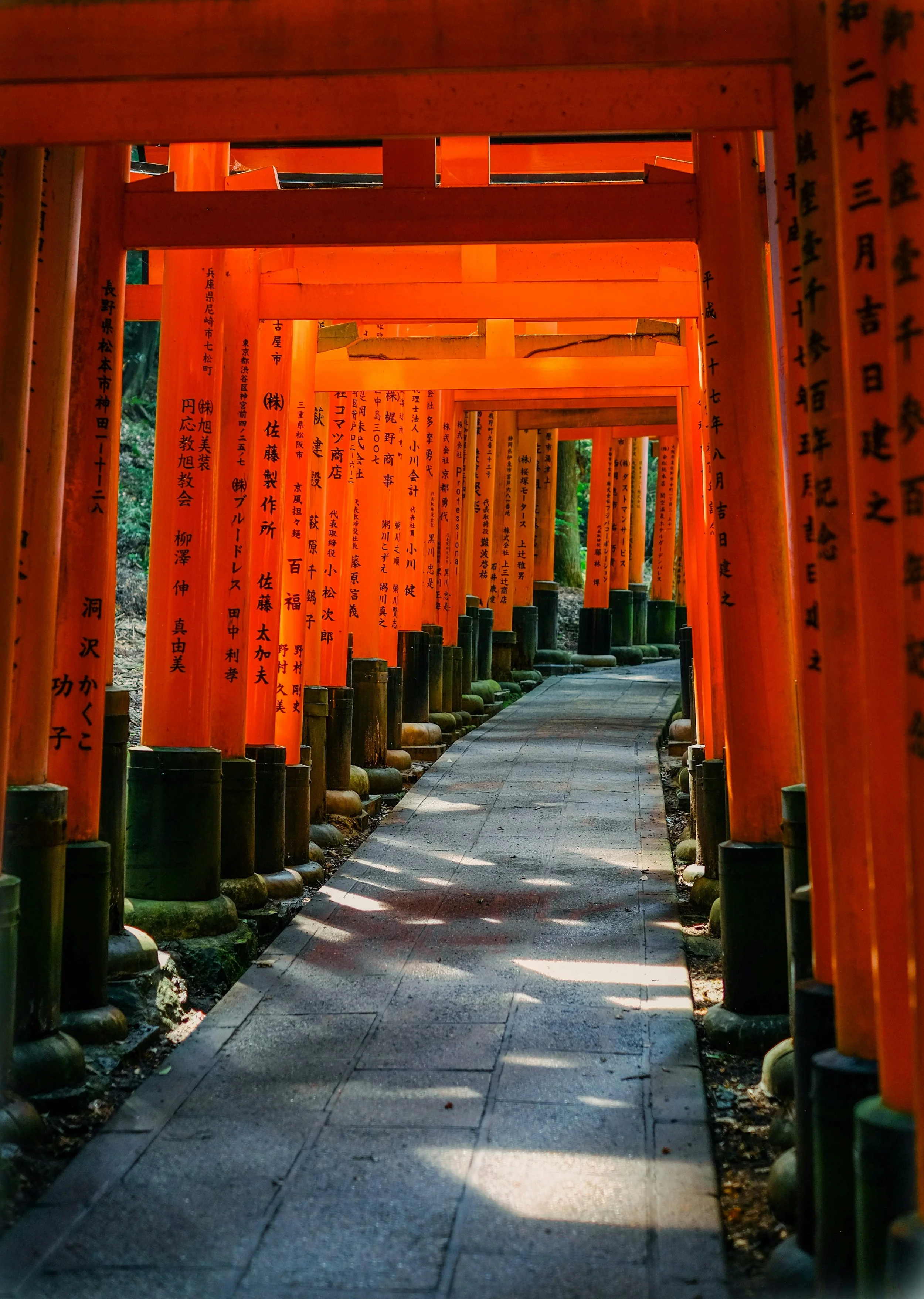 Photo by Tyler Zhang on Unsplash