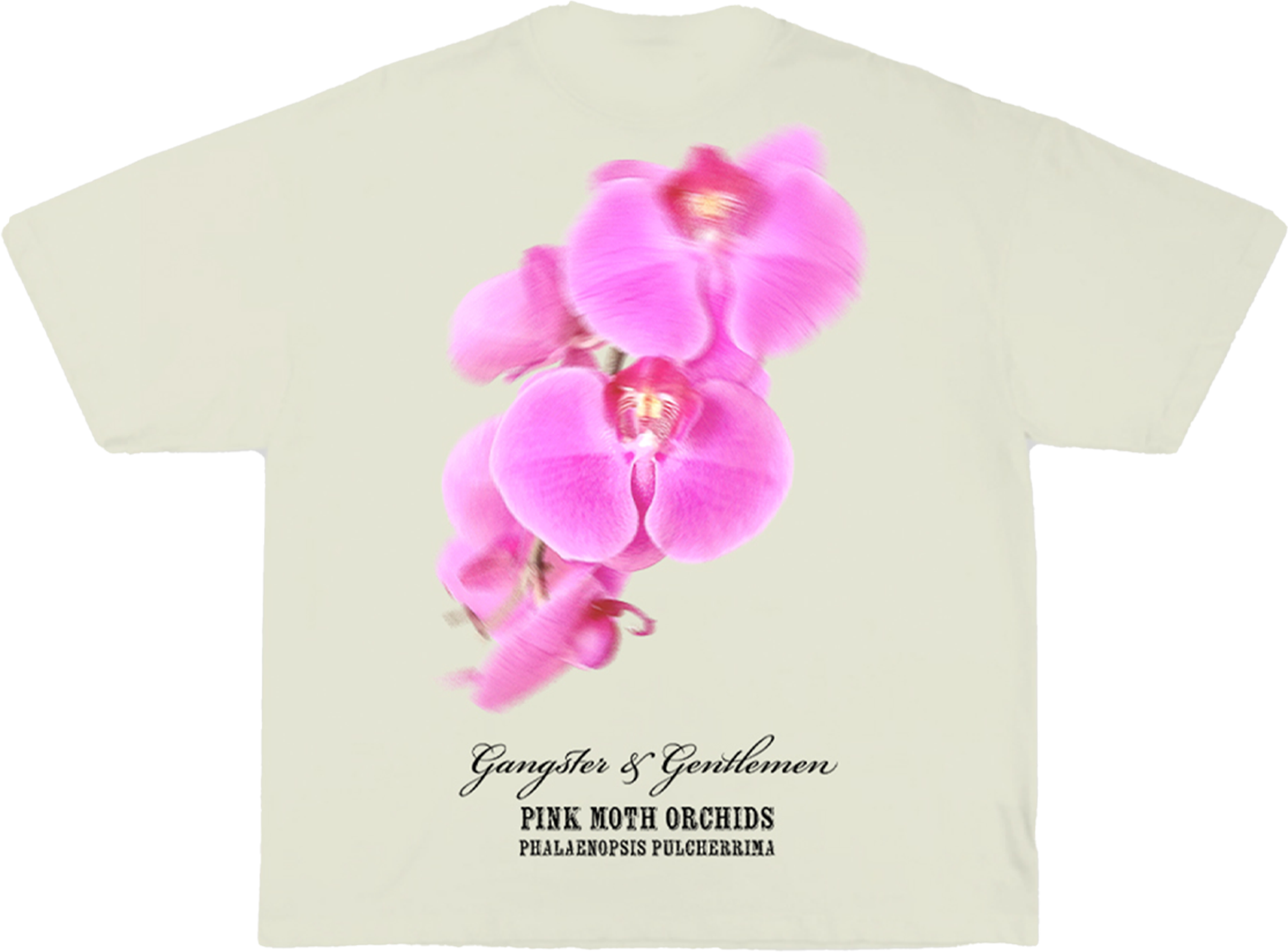 PINK ORCHID BACK.png