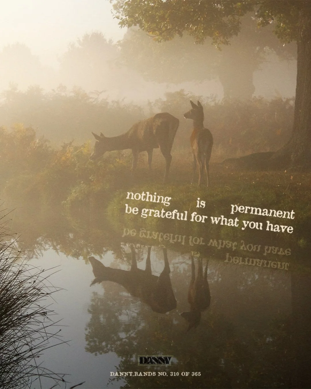 Untitled-1.jpg