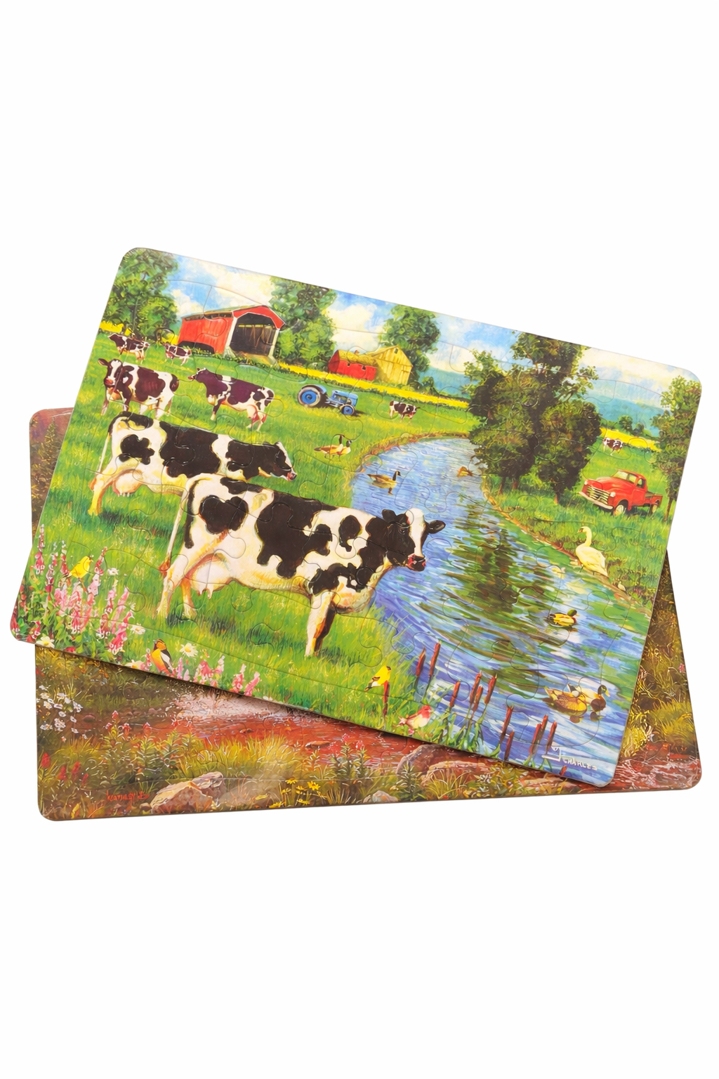 Assorted 35Pc Tray Puzzles