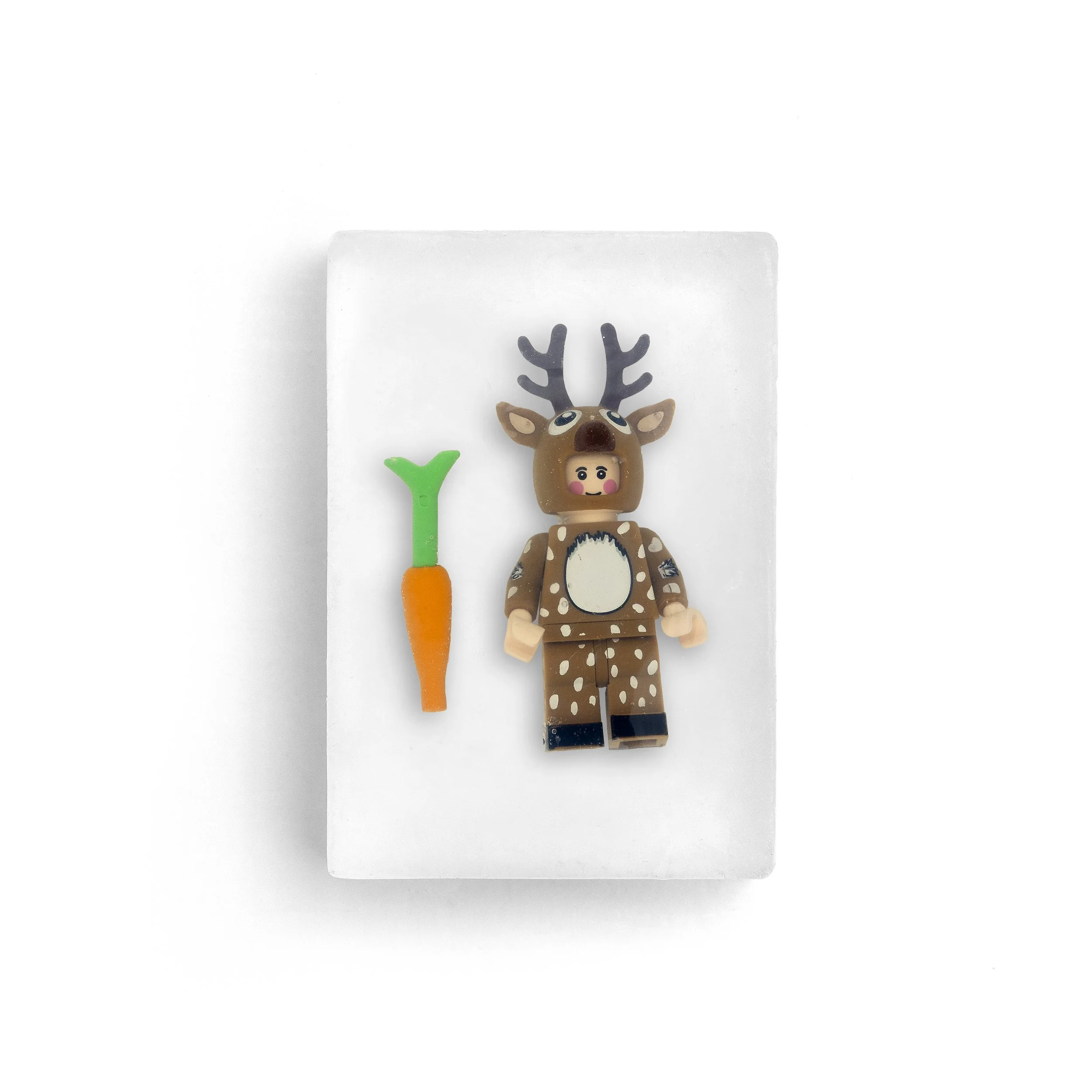 Raindeer 1.jpg