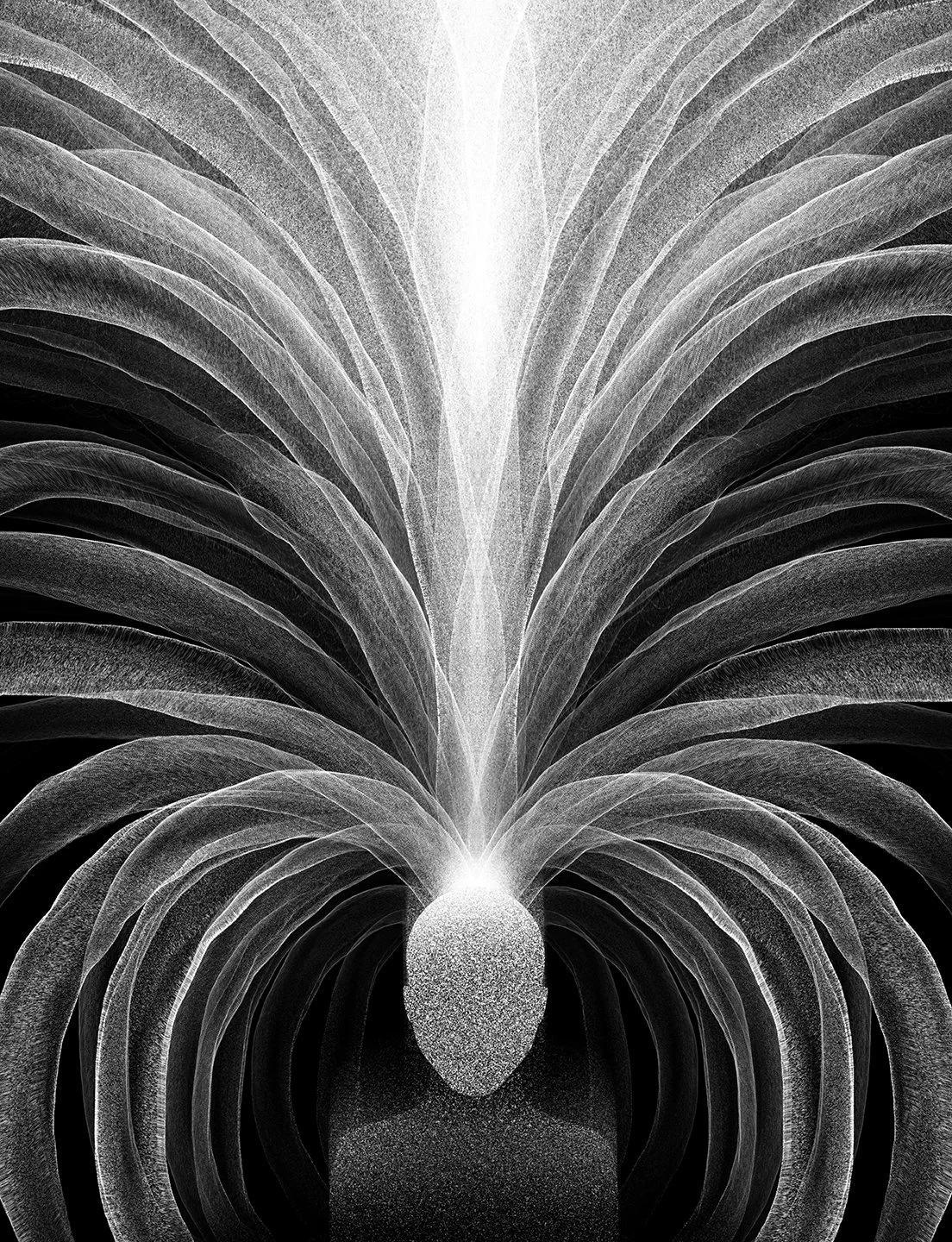 2025-10-03 18.41.20.jpg