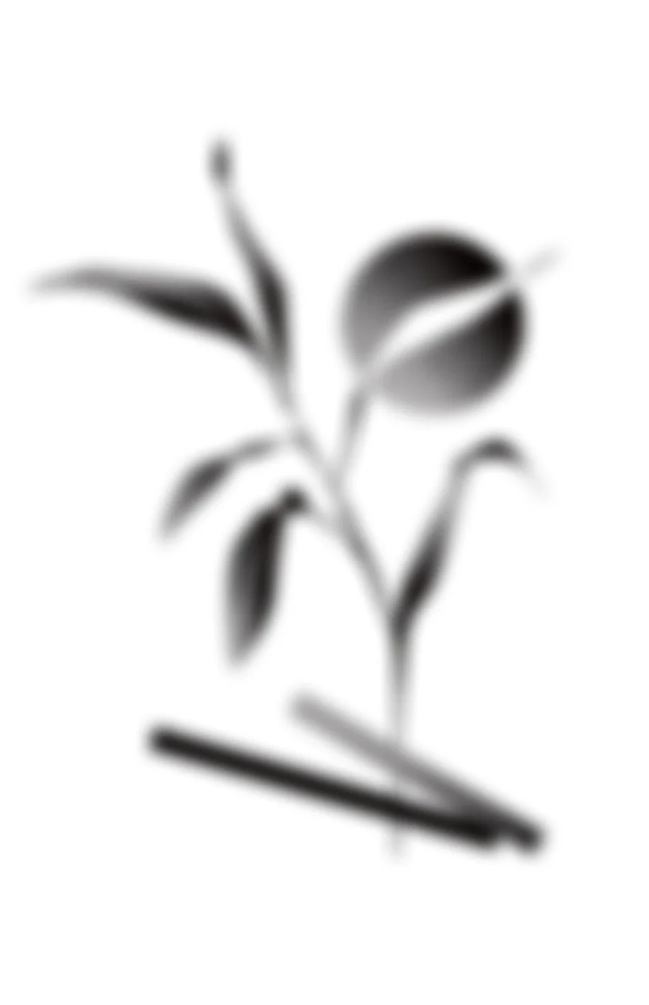 Abstract blurred black and white sculpture of a plant with leaves, a spherical flower, and a horizontal base.
