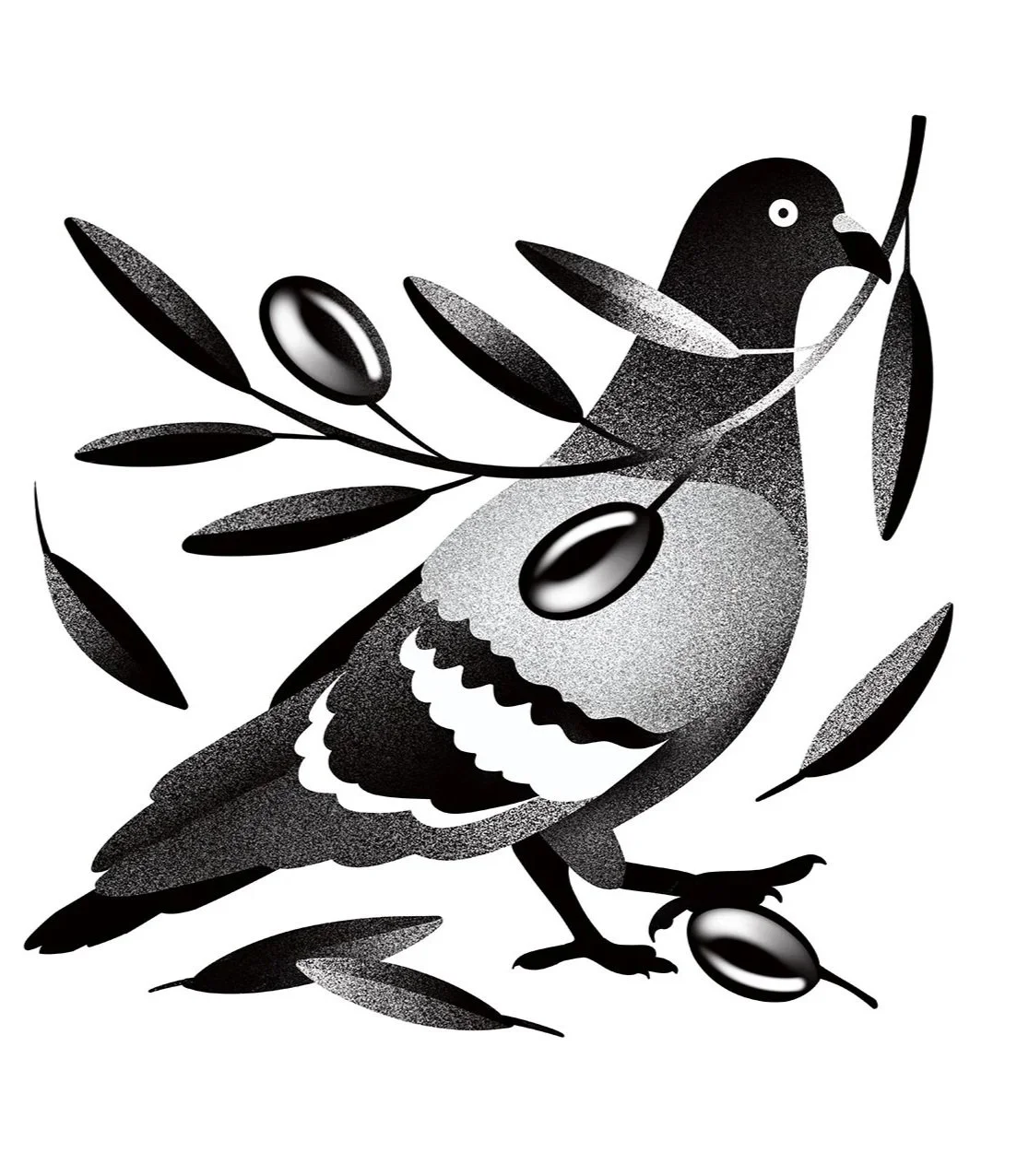 pigeon
