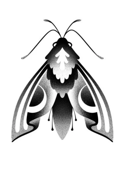 Black and white illustration of a butterfly with detailed patterns on its wings and antennae. Stippling whip shading dotwork blackwork tattoo design flash.
