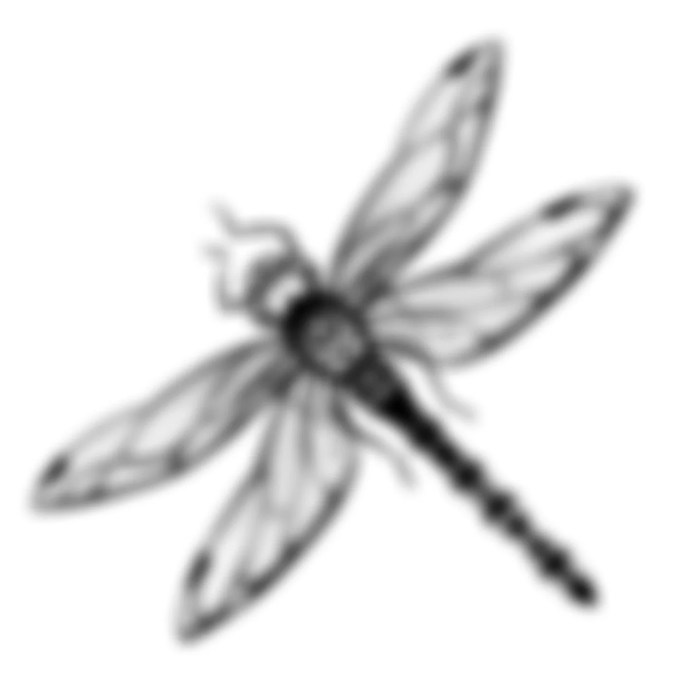 Black and white tattoo design of a dragonfly with detailed wings and long body.  קעקועים תל אביב שחור לבן אפור סטיפלינג דוטוורק