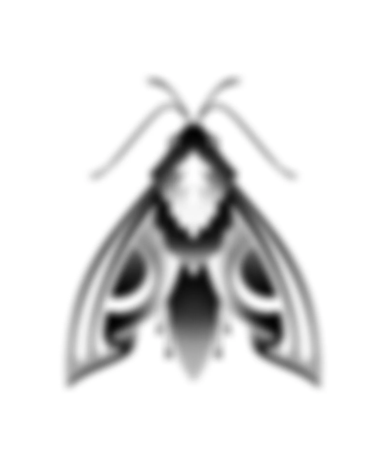 Black and white stylized illustration of a moth with detailed wings and antennae