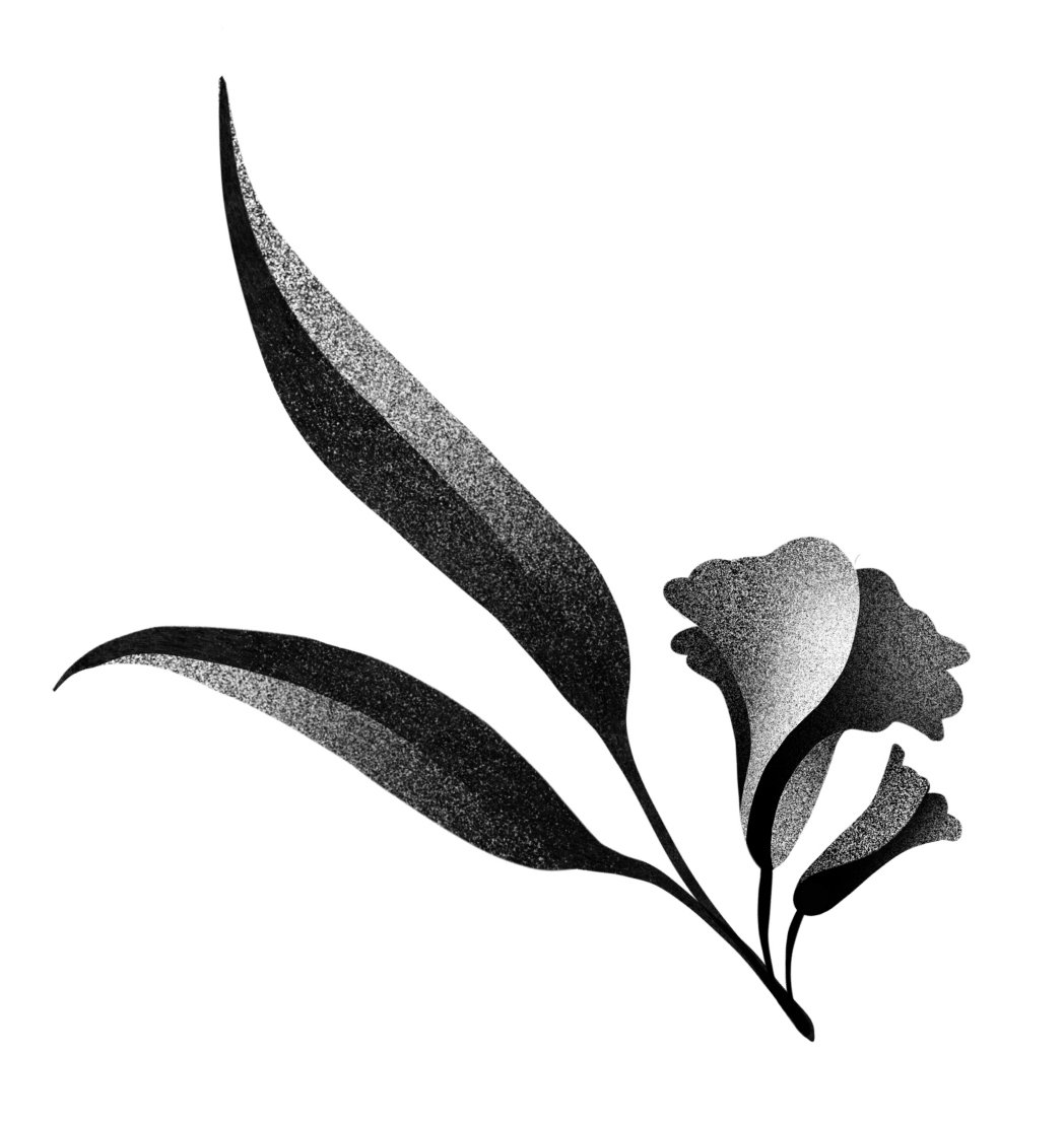 Black and white illustration of a plant with two long leaves and three smaller flower buds. Stippling whip shading dotwork blackwork tattoo design flash.