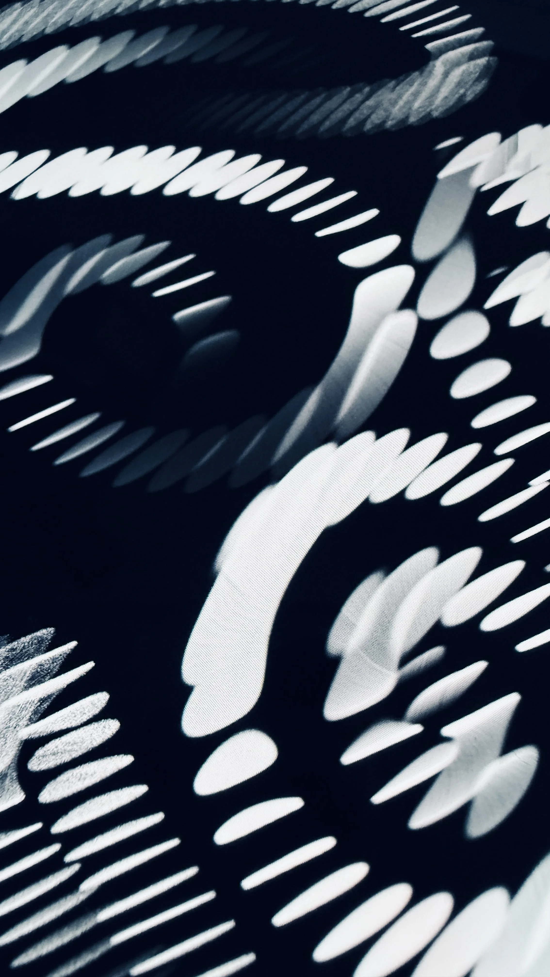 2025-06-19 17.06.47-1.jpg