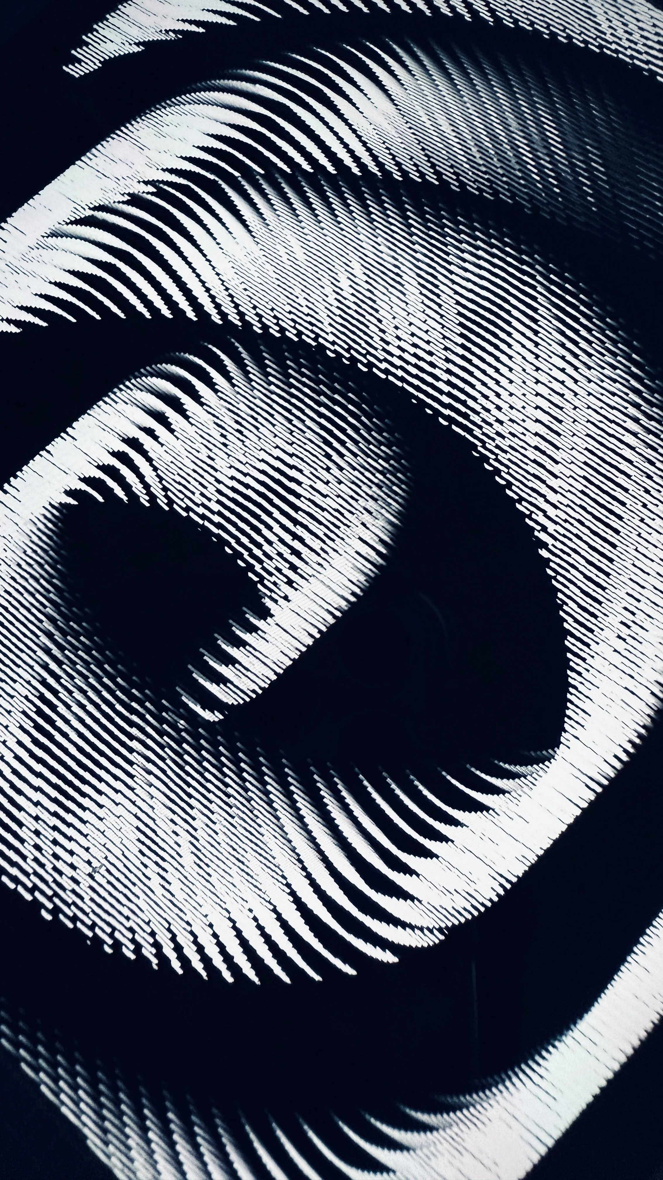 2025-06-19 17.12.52.jpg