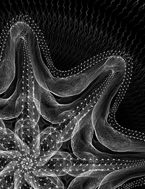 2025-10-07 23.09.47-1.jpg