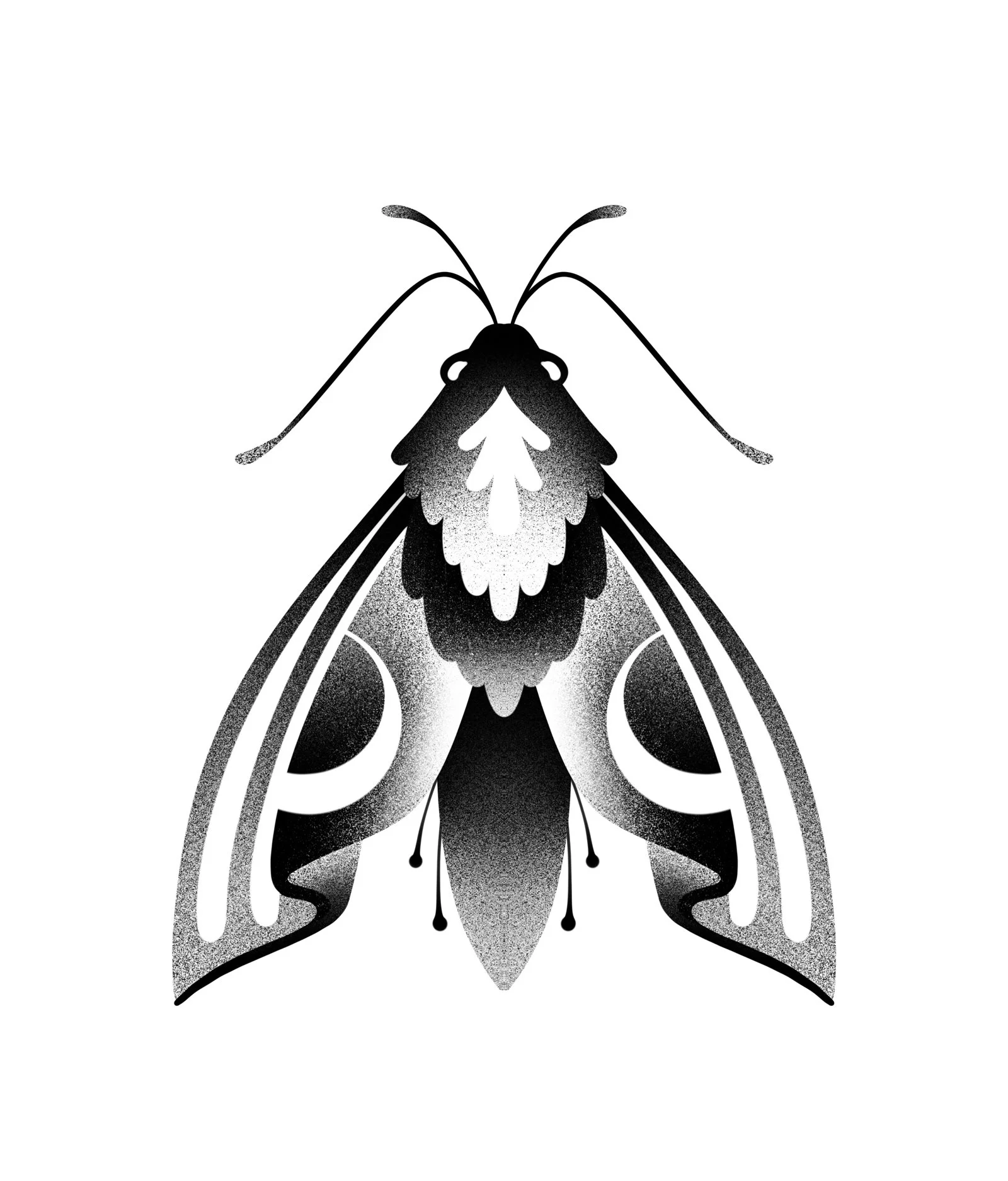 Black and white stylized illustration of a moth with detailed wings and antennae